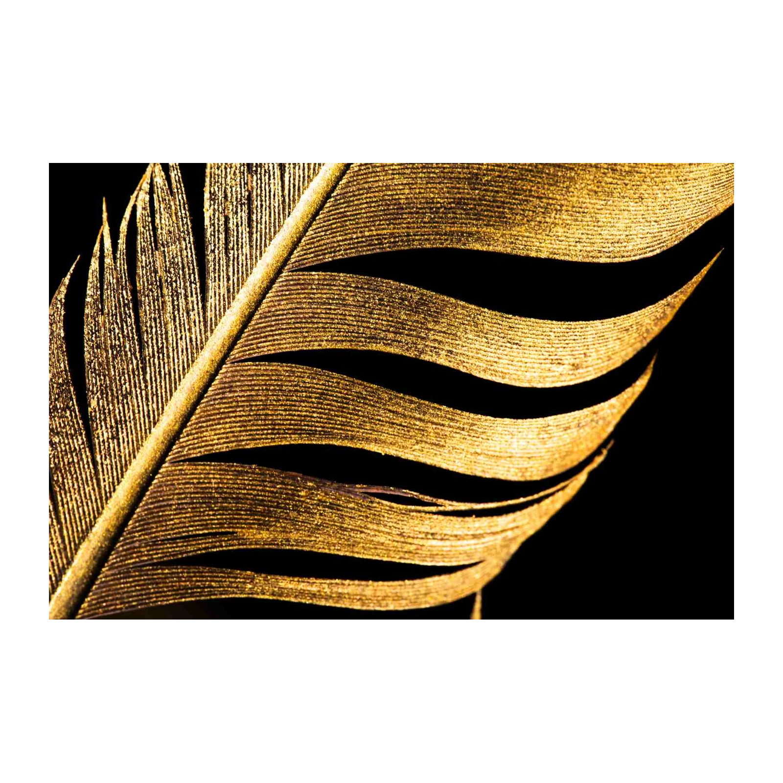Luxury Gold Feather Abstract Art Wall Art