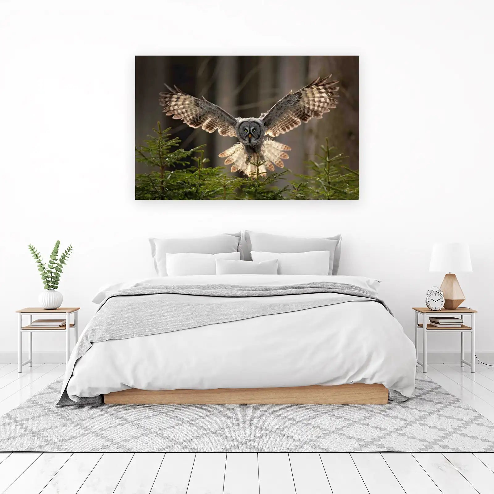 Majestic Owl in Flight Wall Art