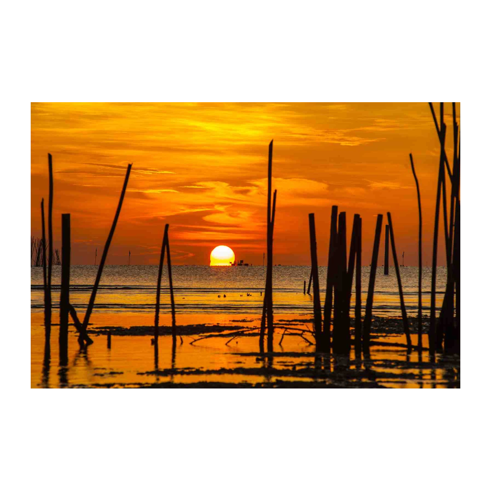 Vibrant Sunset Over Water Wall Art