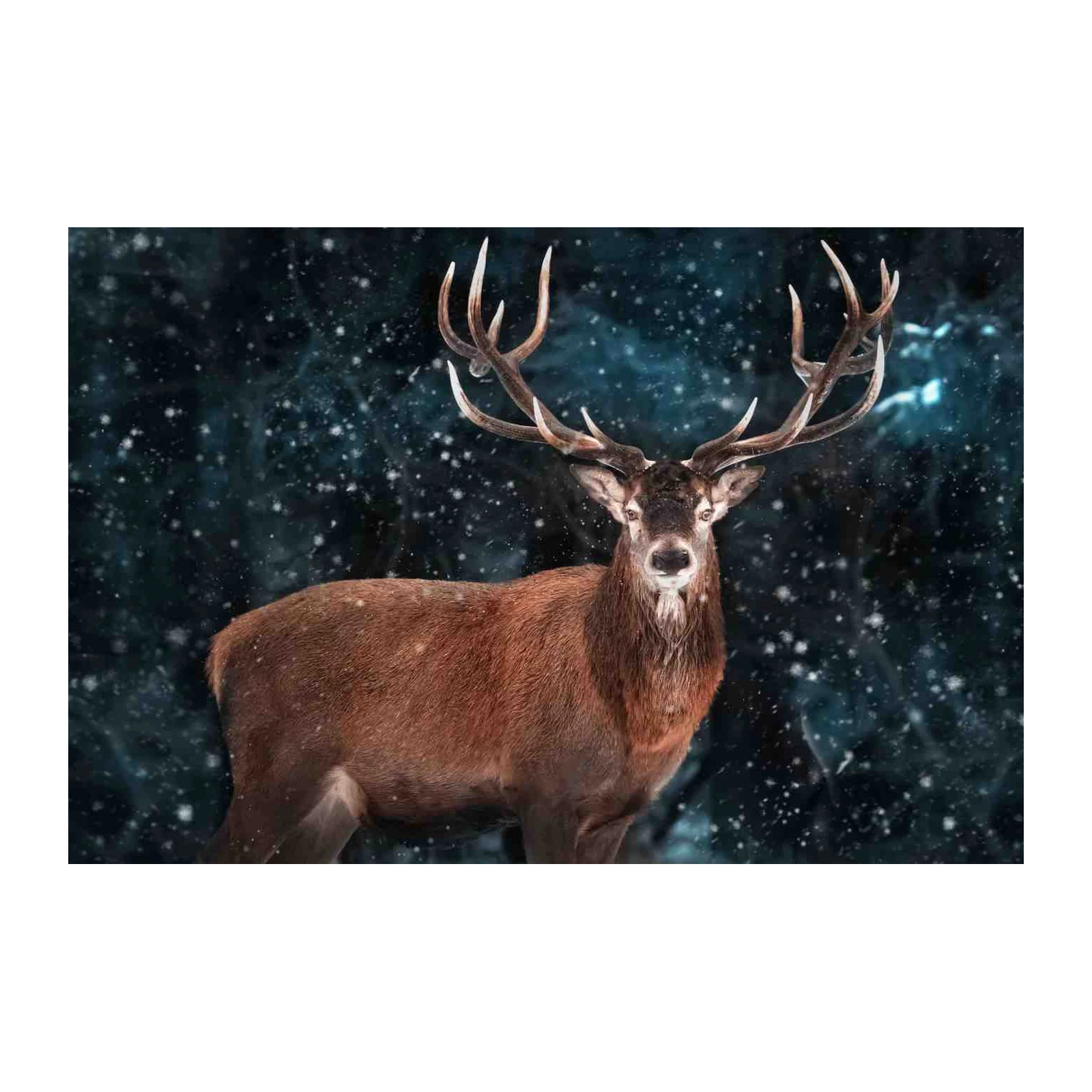 Majestic Stag Winter Forest Wall Art