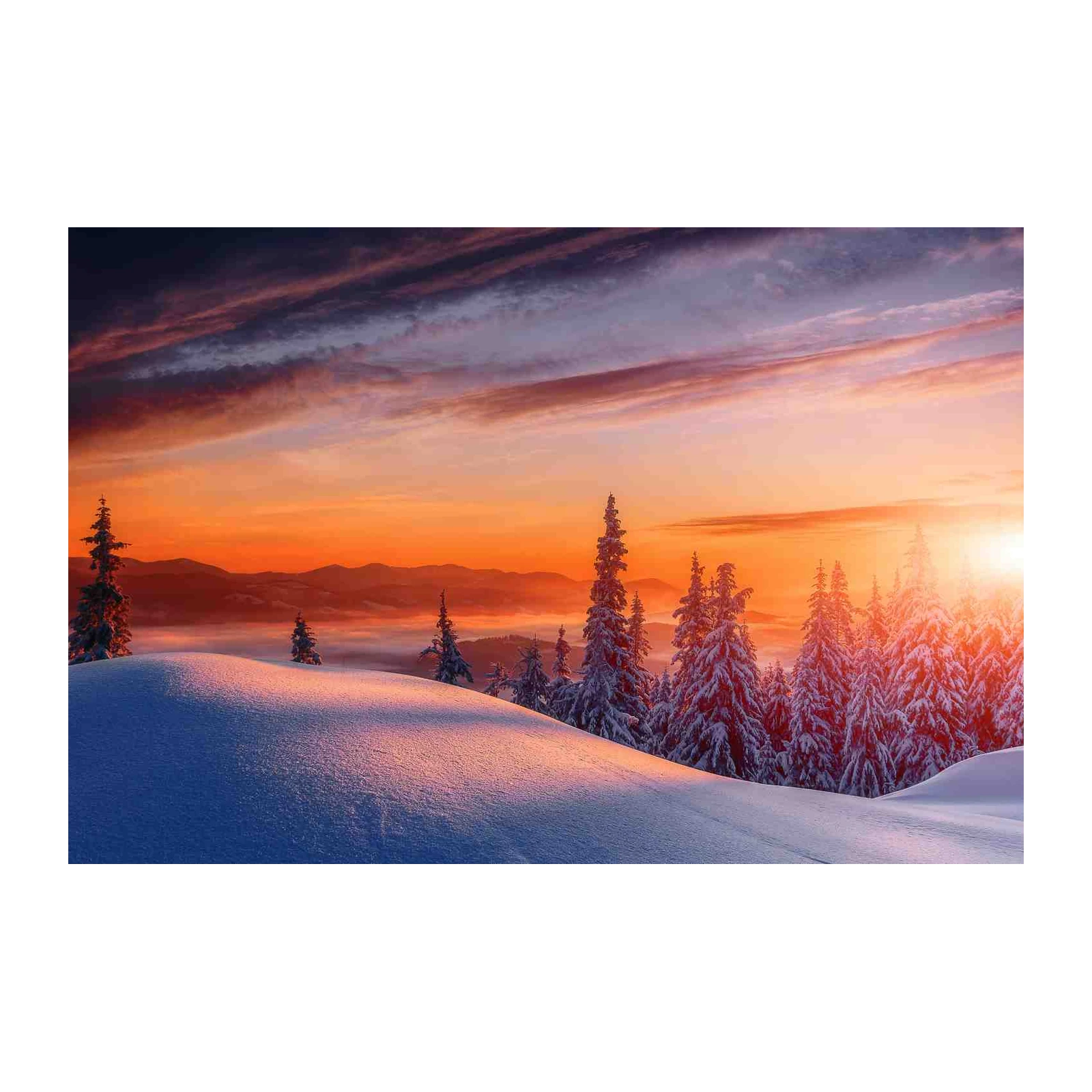 Winter Sunset Mountain Trees Wall Art