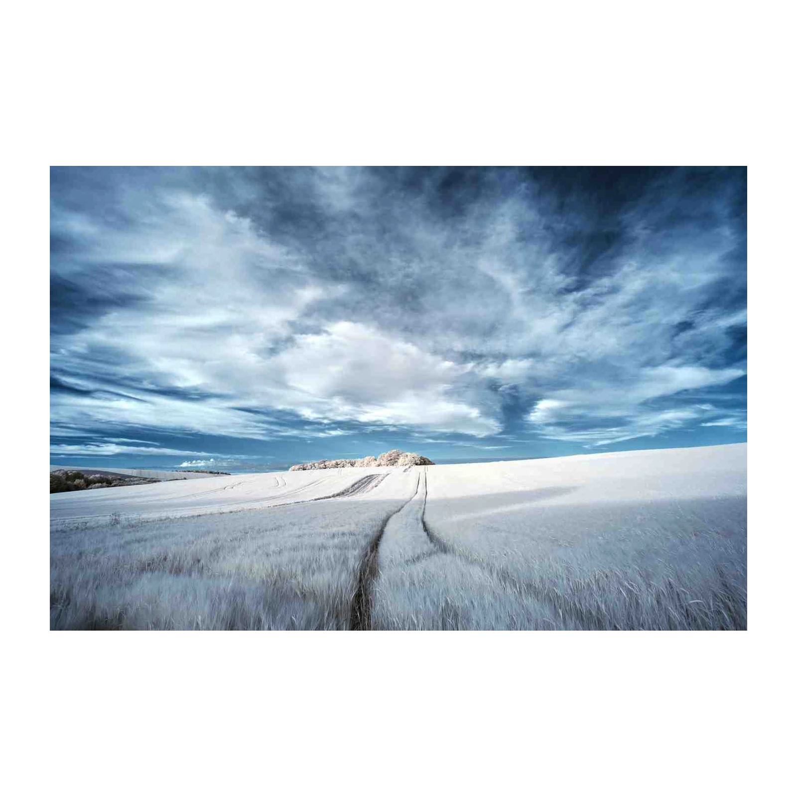 Ethereal Winter Field Landscape Wall Art