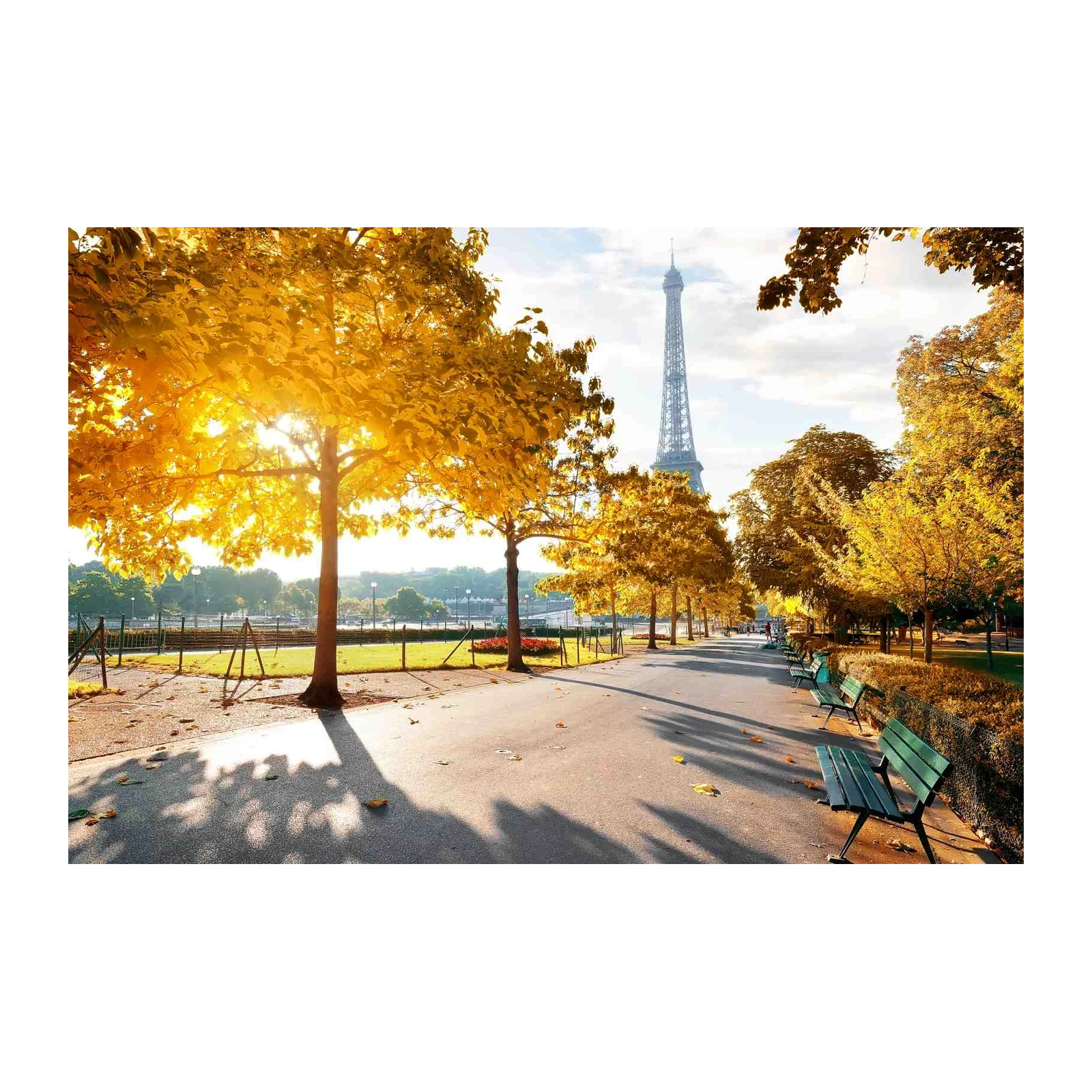 Parisian Autumn Eiffel Tower Wall Art