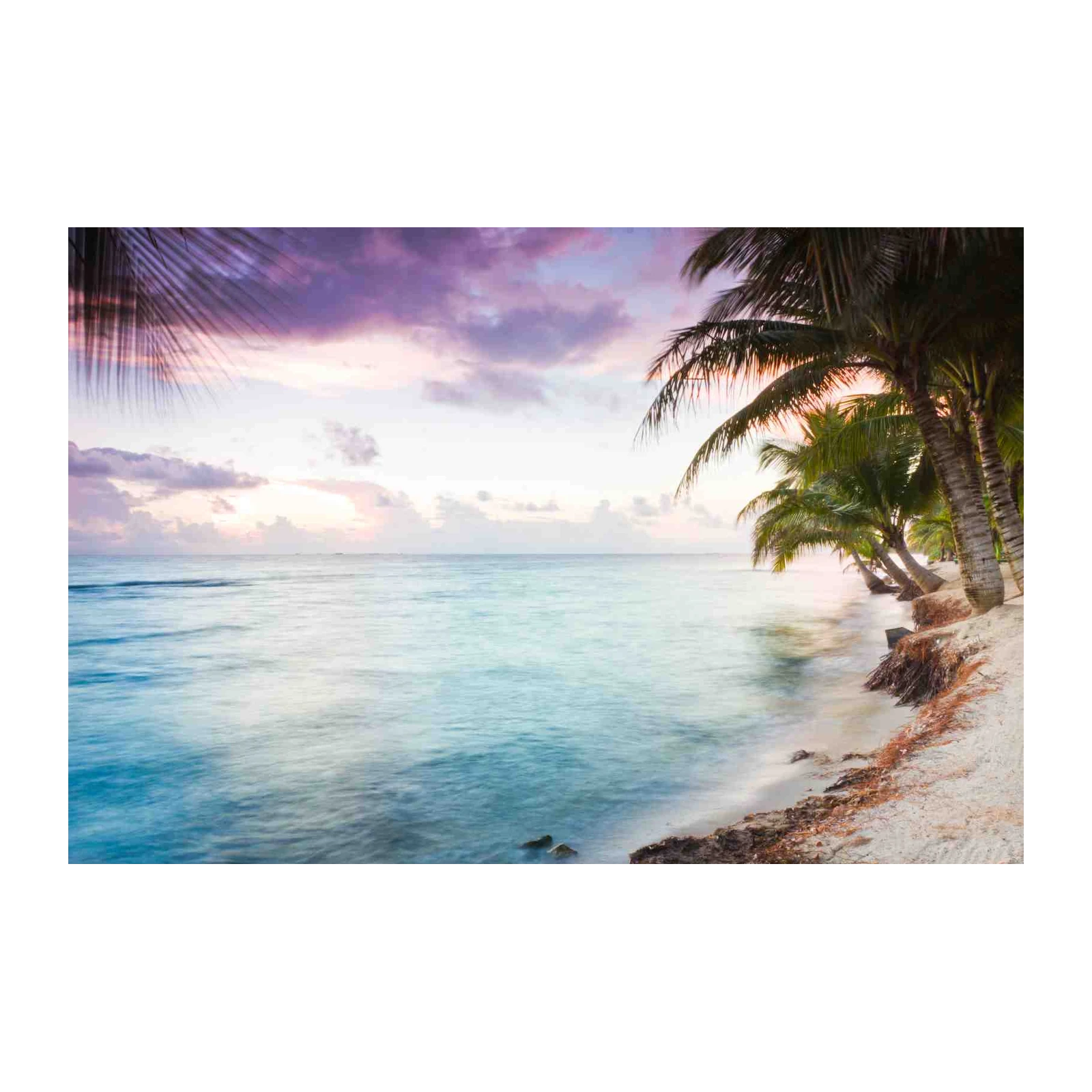 Serene Beach Sunset Palm Tree Wall Art