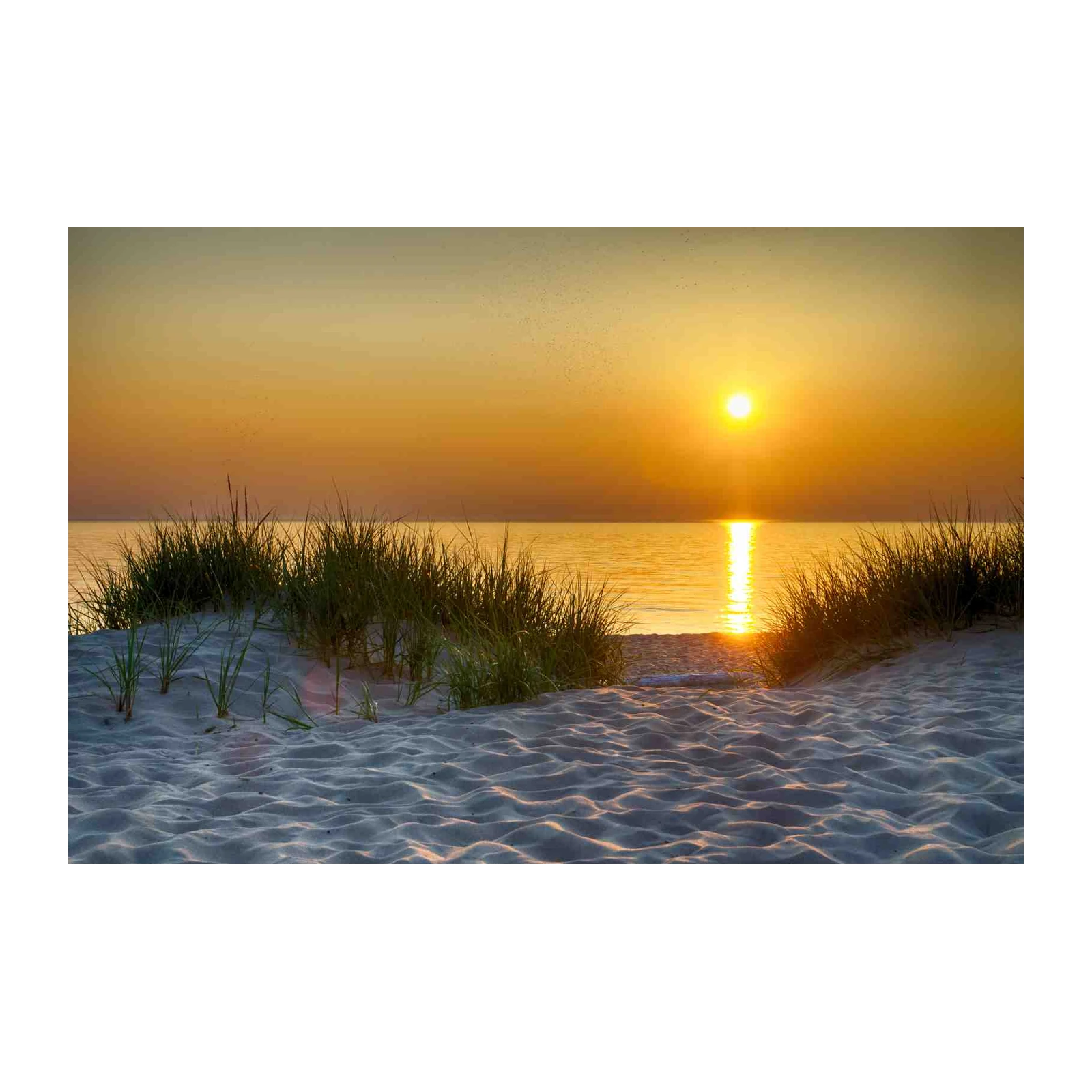 Serene Sunset Beach Grass Wall Art