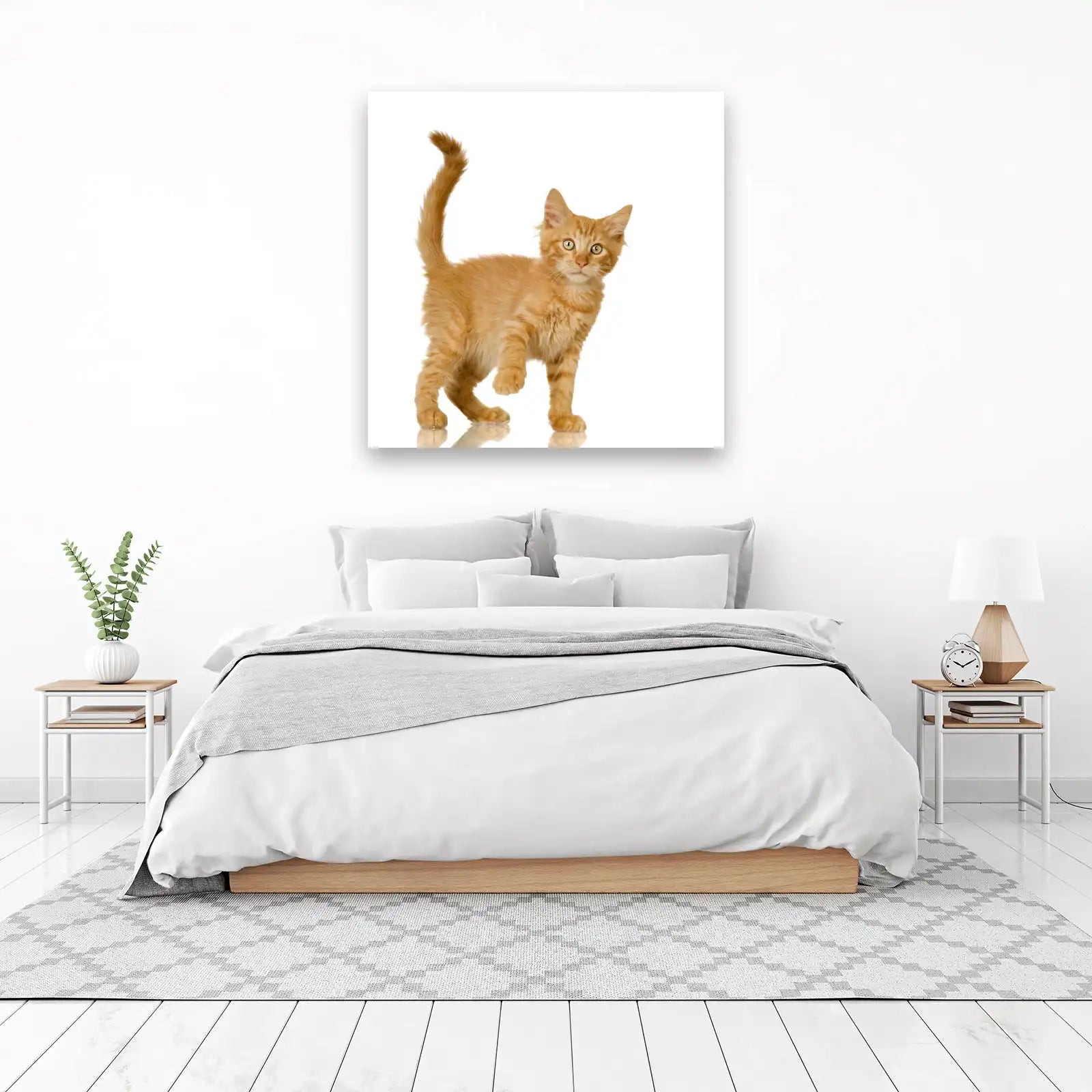 Adorable Orange Tabby Kitten Wall Art