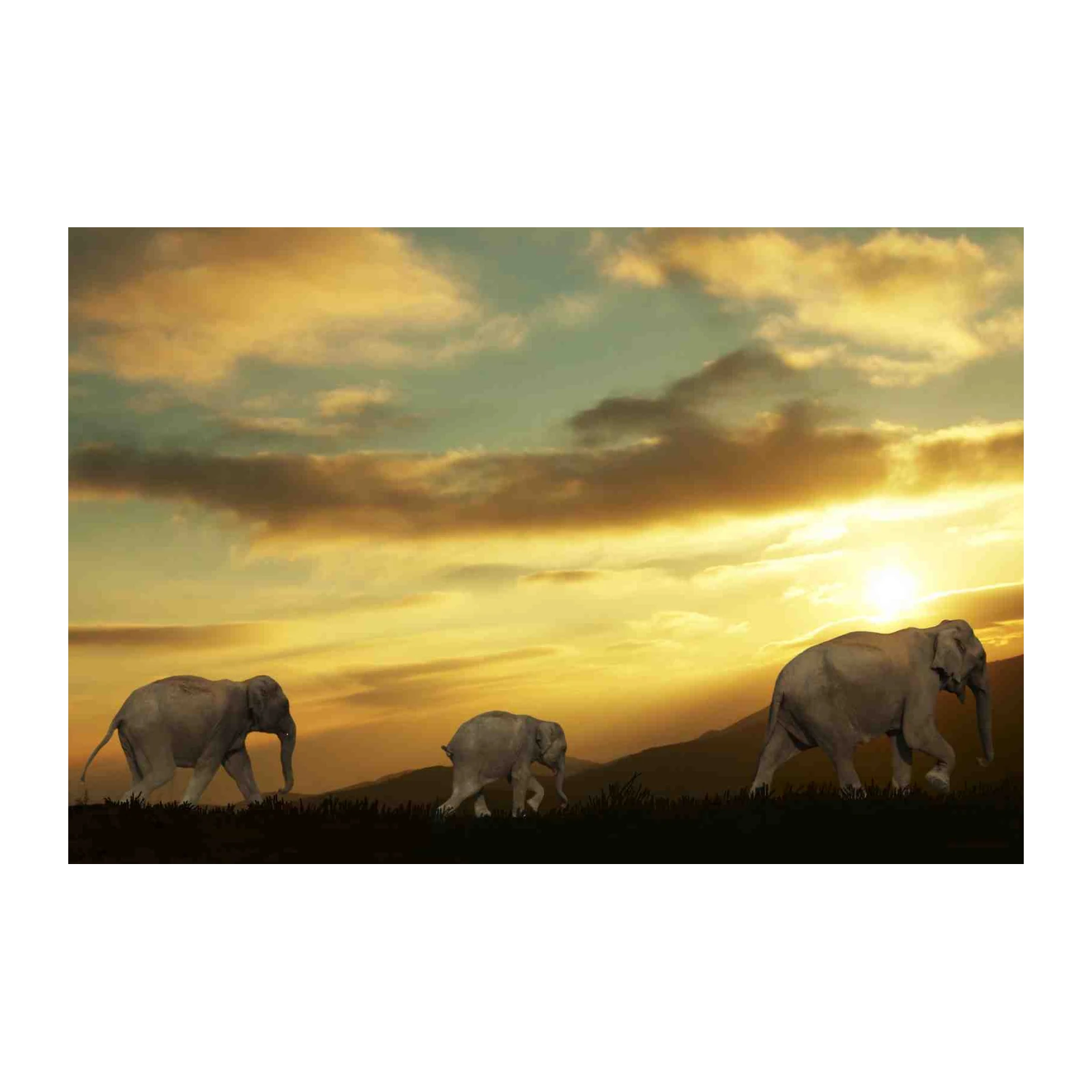 Majestic Elephant Herd Sunset Wall Art