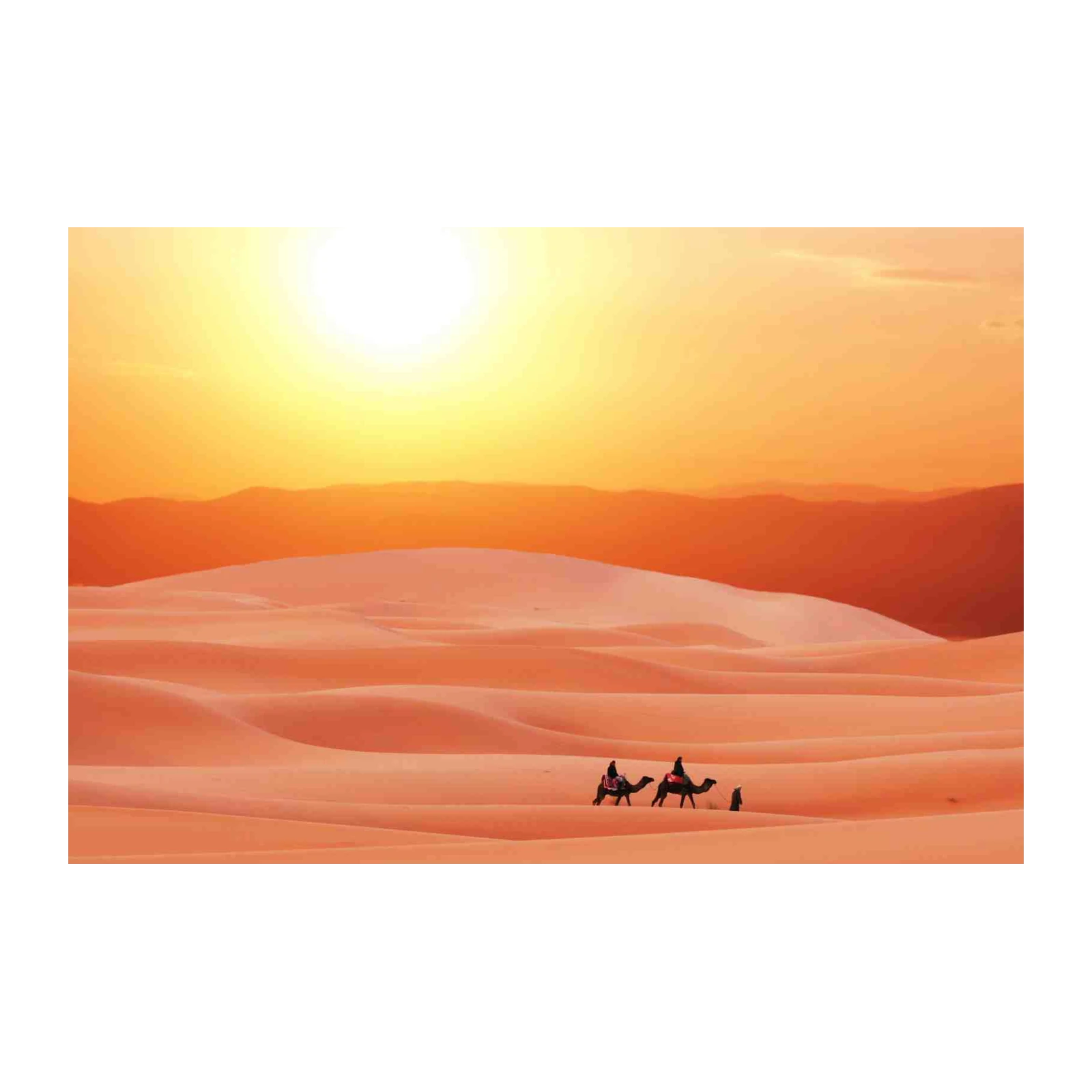 Moroccan Desert Sunset Camel Caravan Wall Art