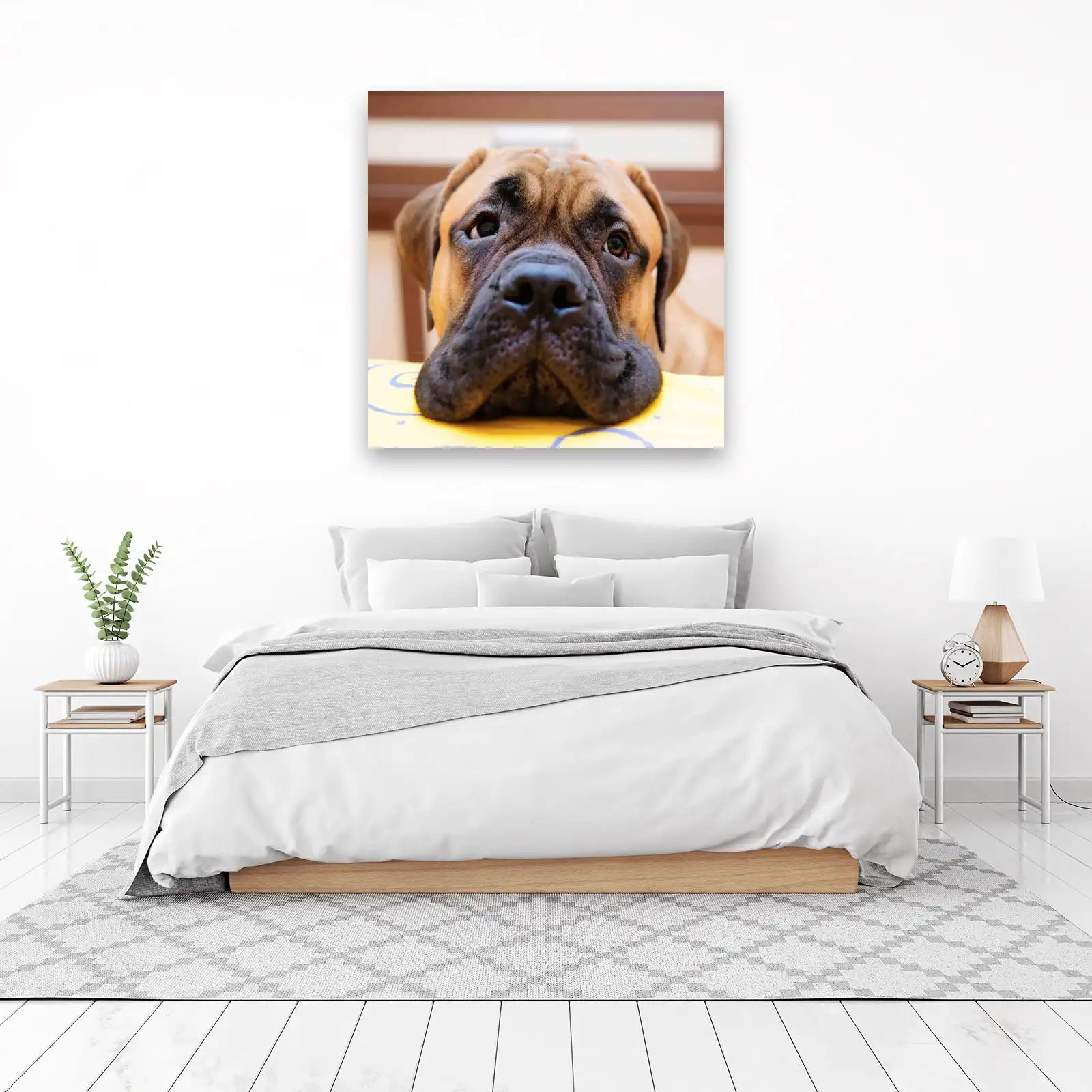 Gentle Giant Dog Portrait Wall Art