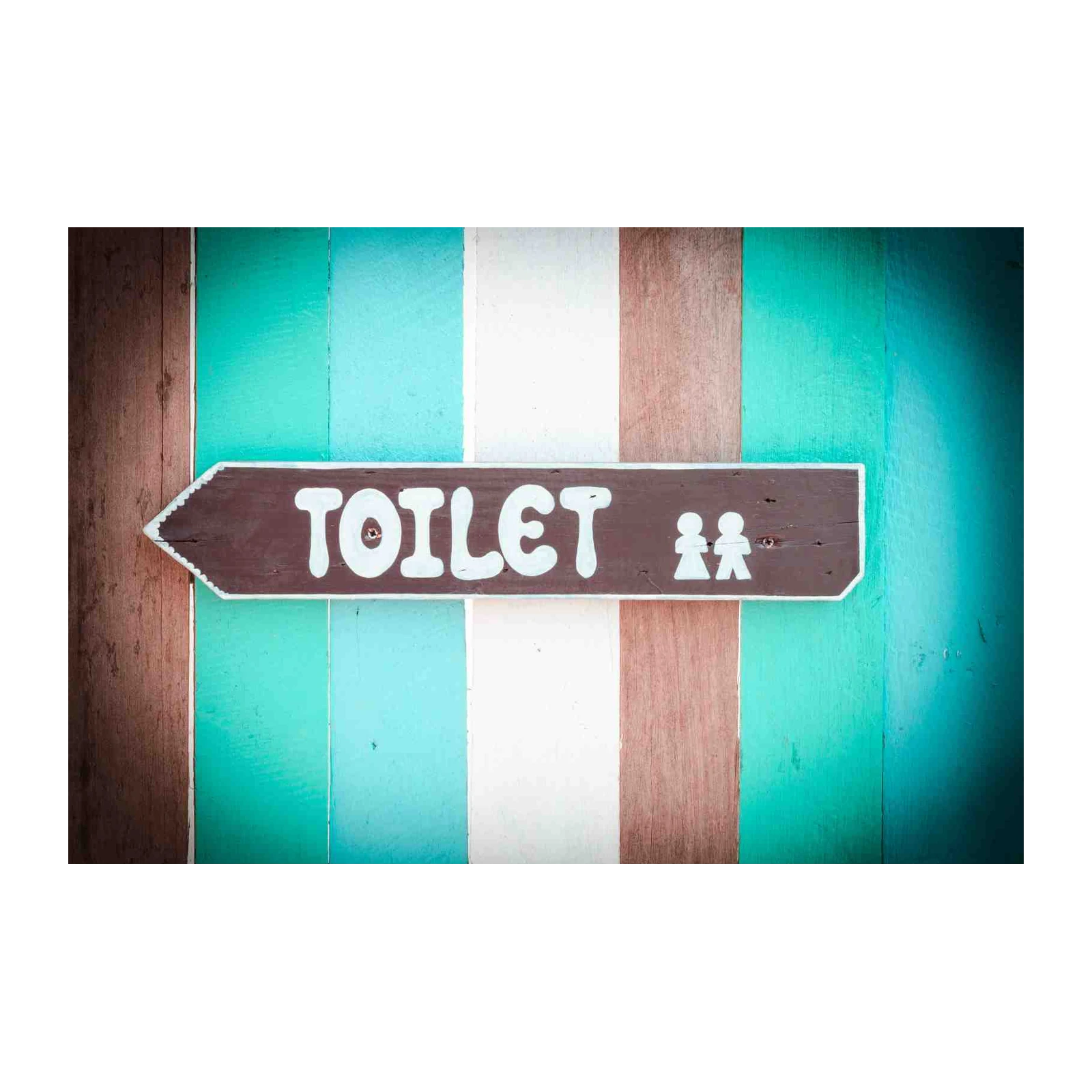 Retro "Toilet" Directional Sign Wall Art