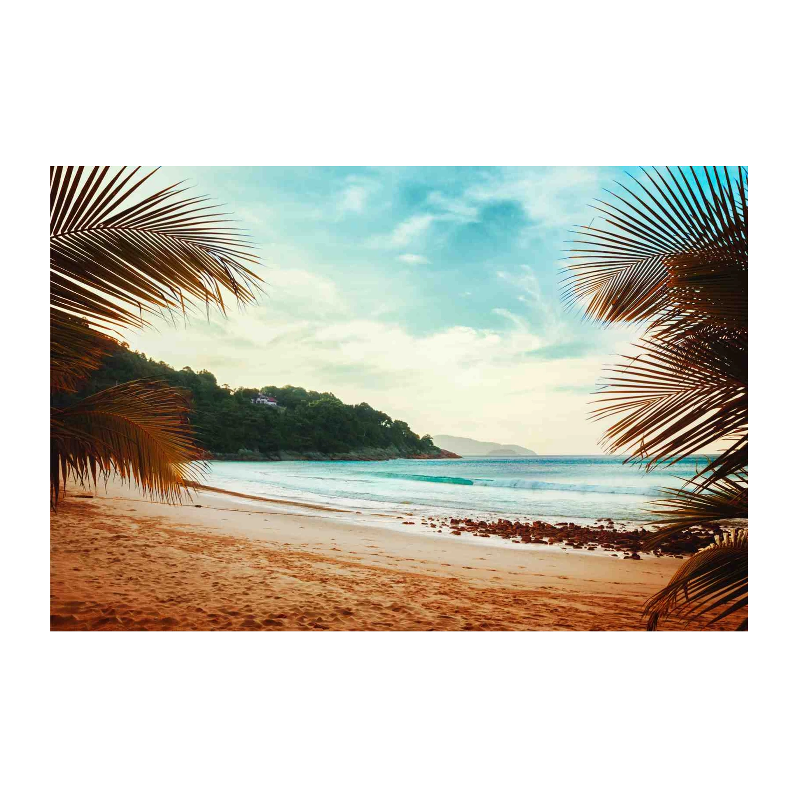Tropical Paradise Beach Palm Wall Art