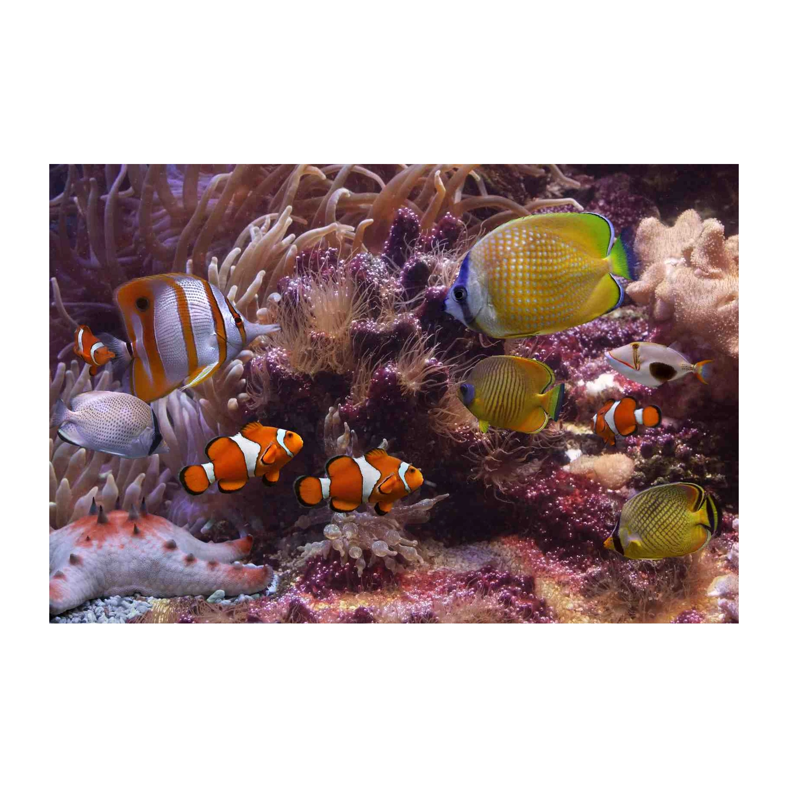Vibrant Tropical Fish Tank Wall Art
