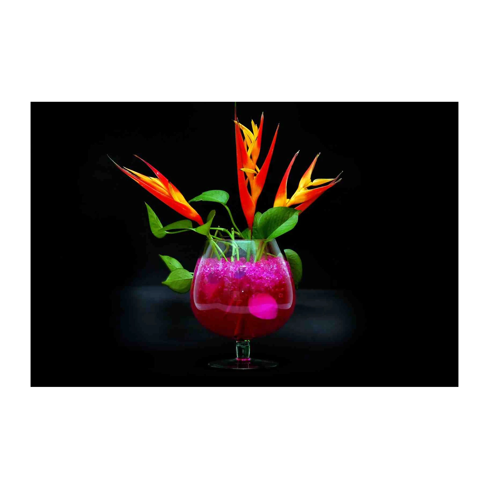 Tropical Paradise Heliconia Wall Art
