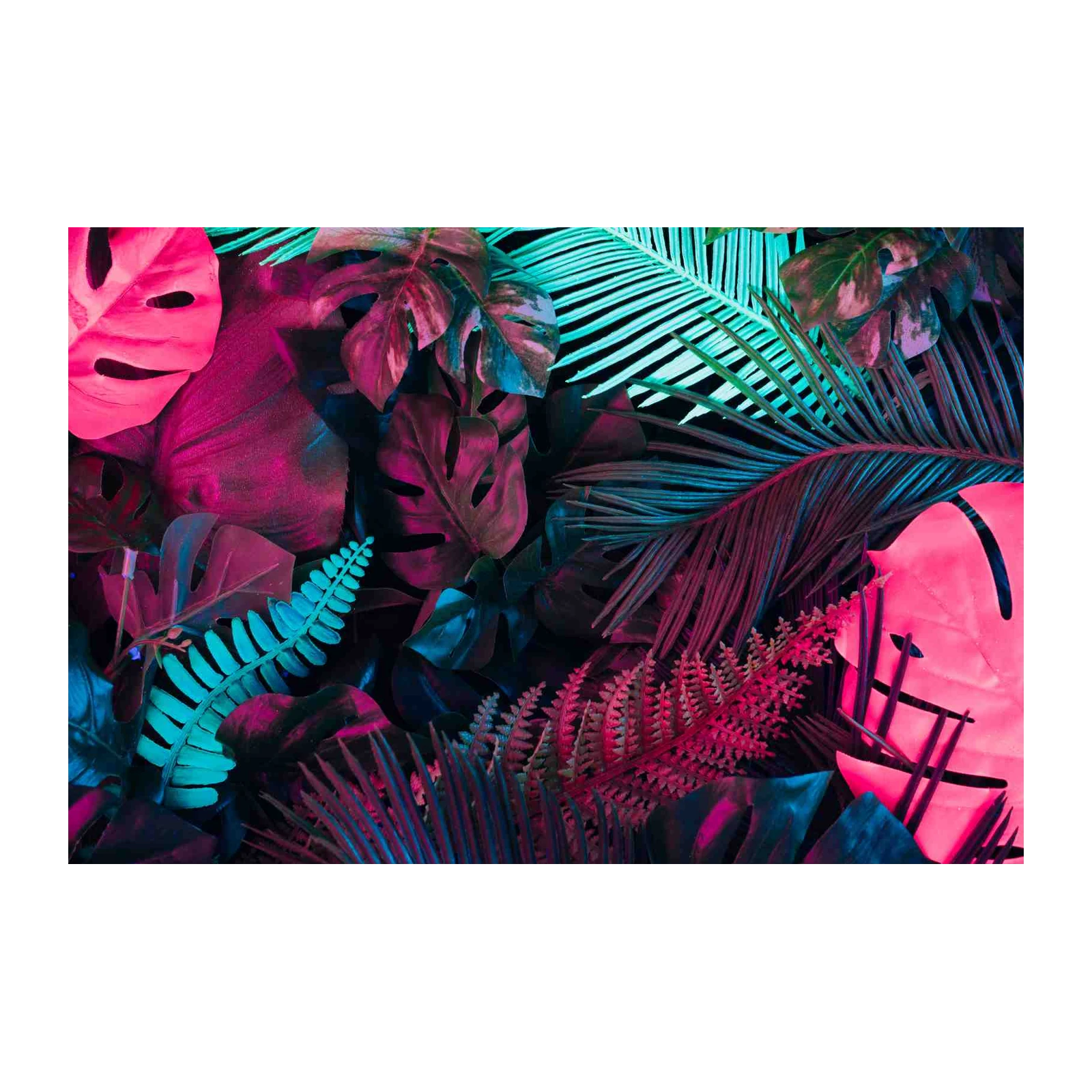 Vibrant Tropical Leaves Neon Wall Art