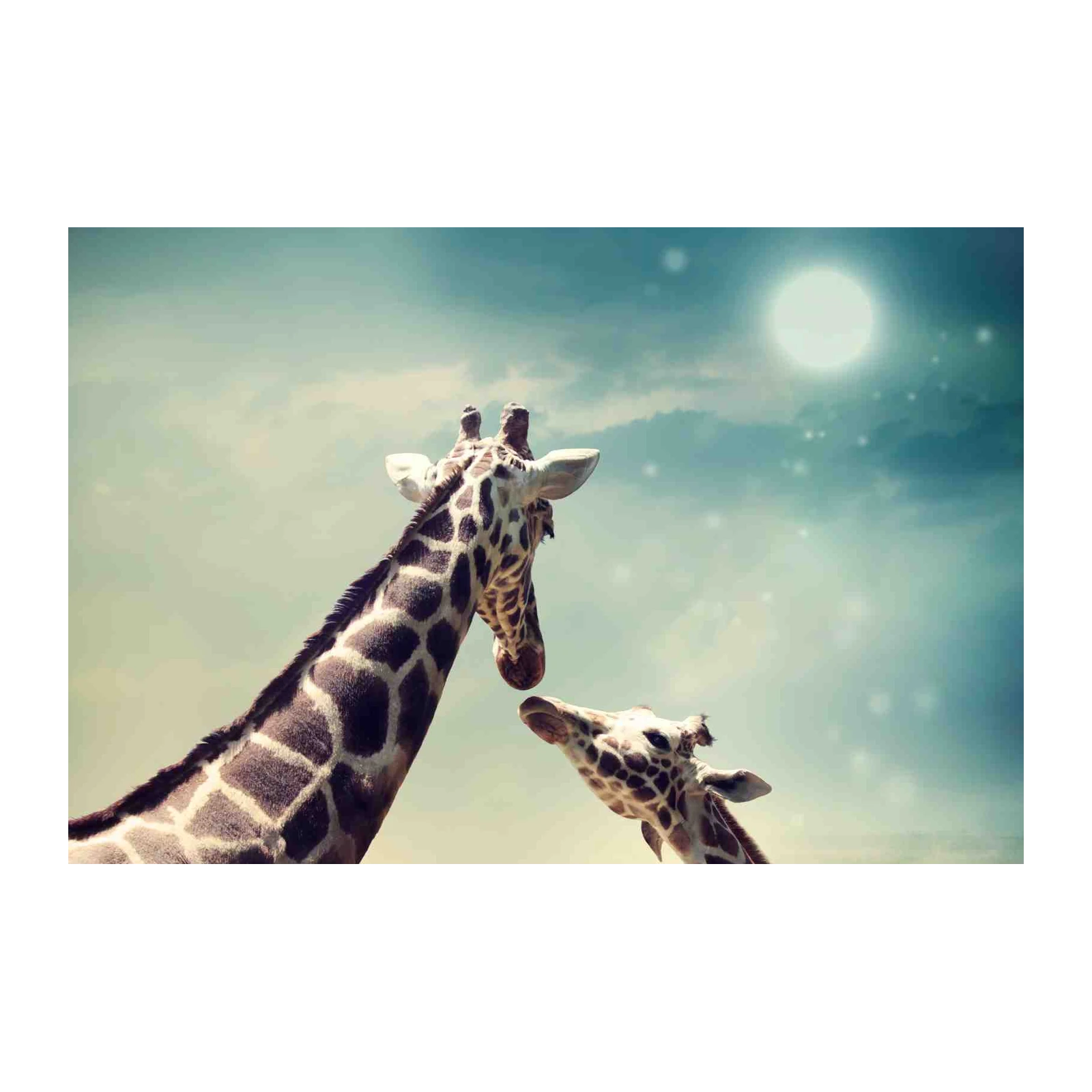 Dreamy Giraffe Duo Sky Wall Art