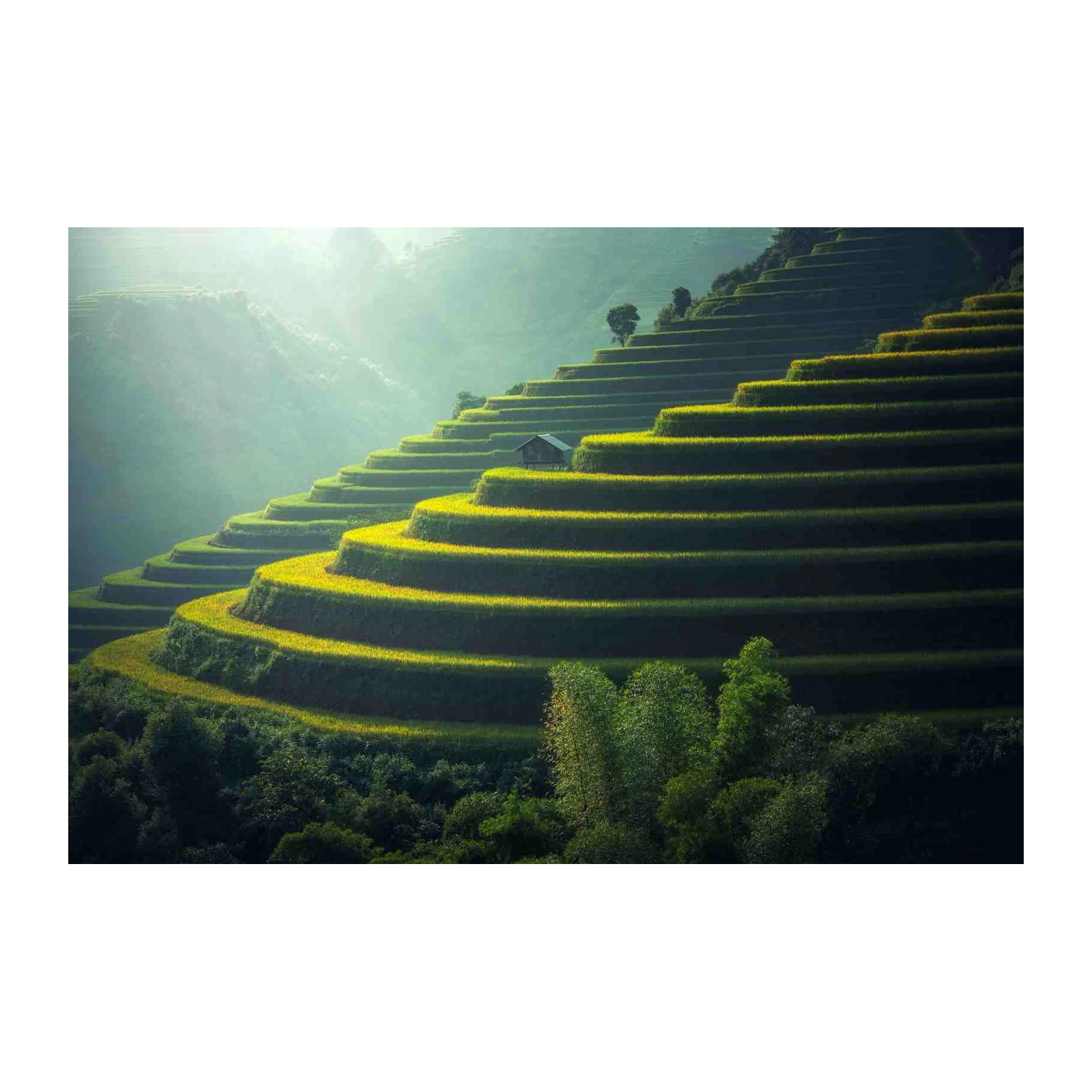 Serene Terraced Fields Landscape Wall Art