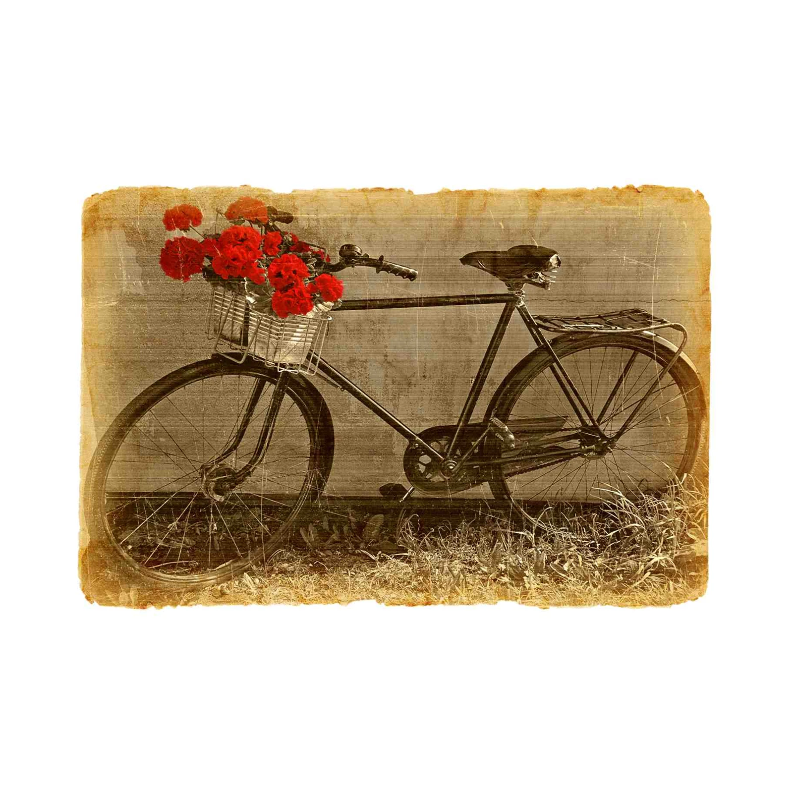 Vintage Bicycle Red Flowers Wall Art
