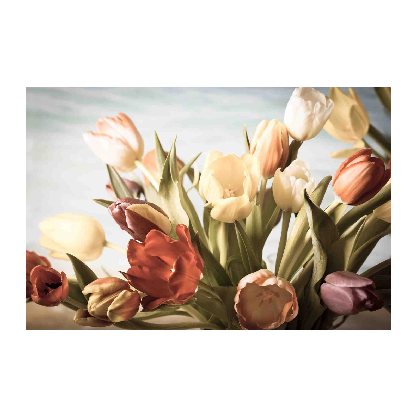 Spring Tulip Bouquet Wall Art - Floral Wall Art