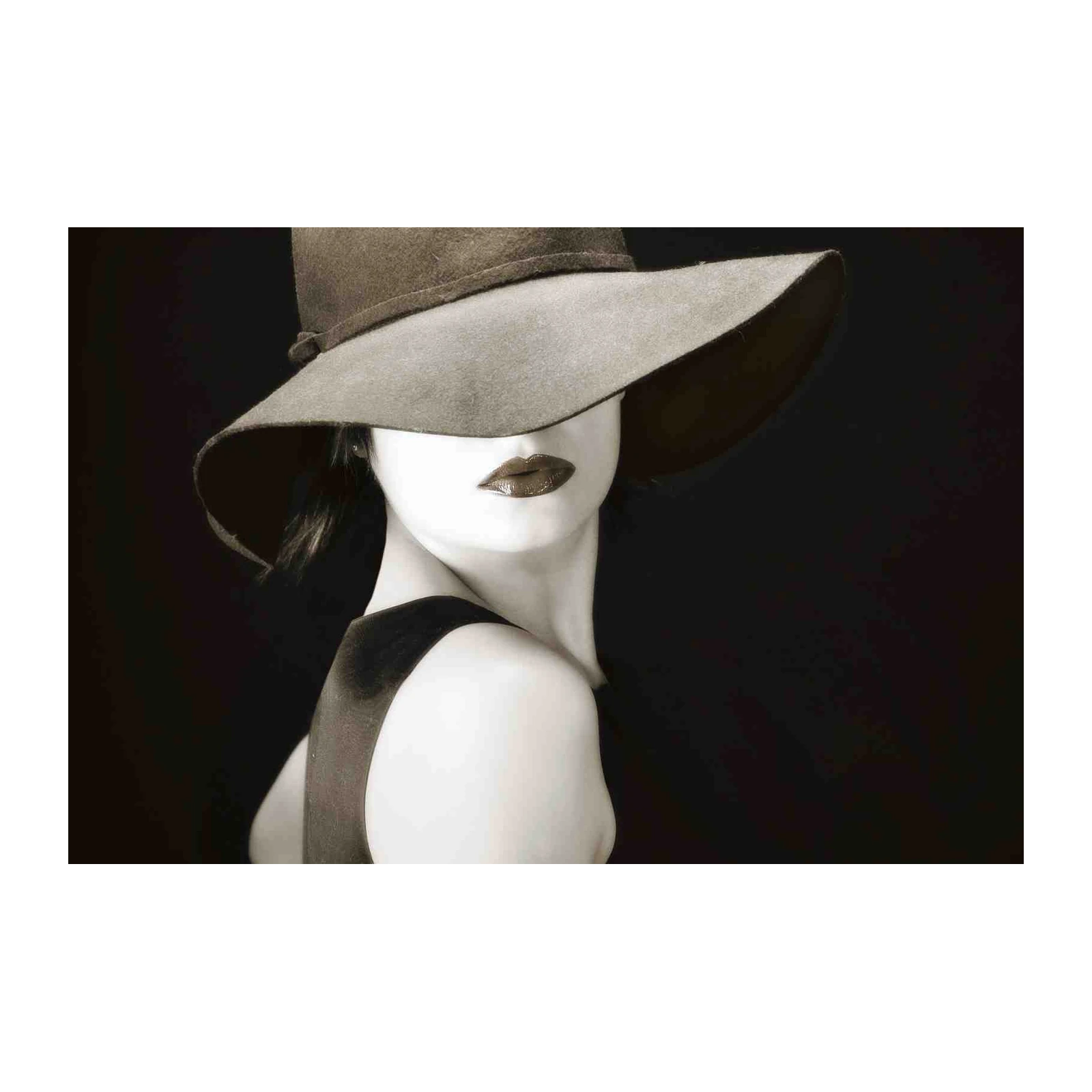 Elegant Woman Wide Brim Hat Sepia Wall Art