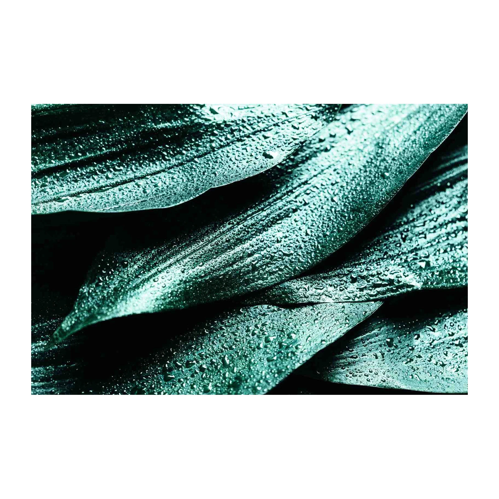 Emerald Dewdrop Leaves Wall Art