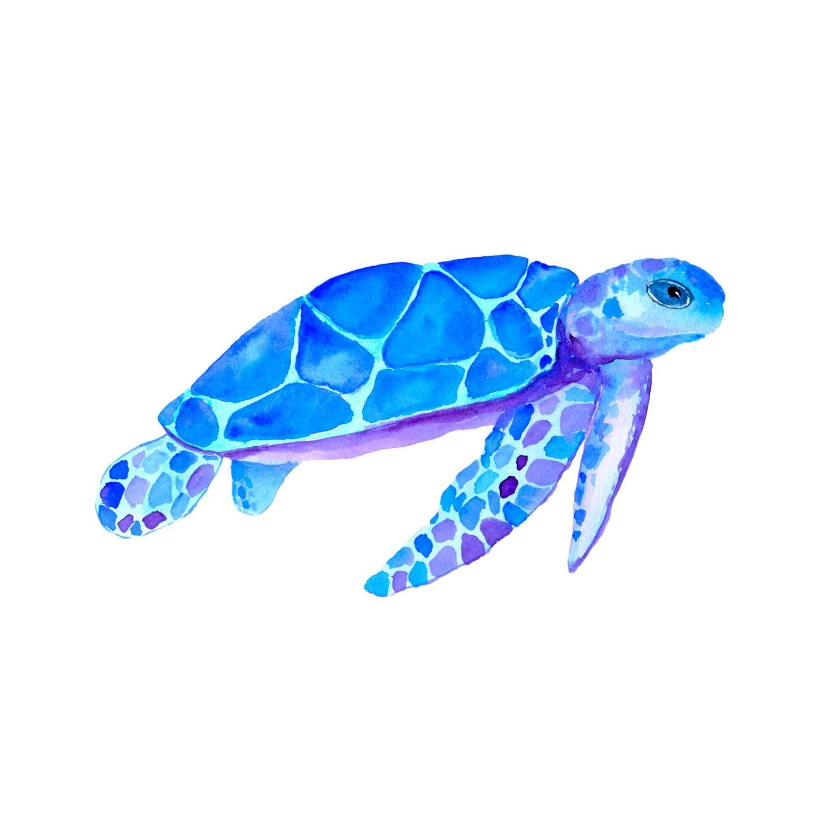 Vibrant Blue Sea Turtle Watercolor Wall Art