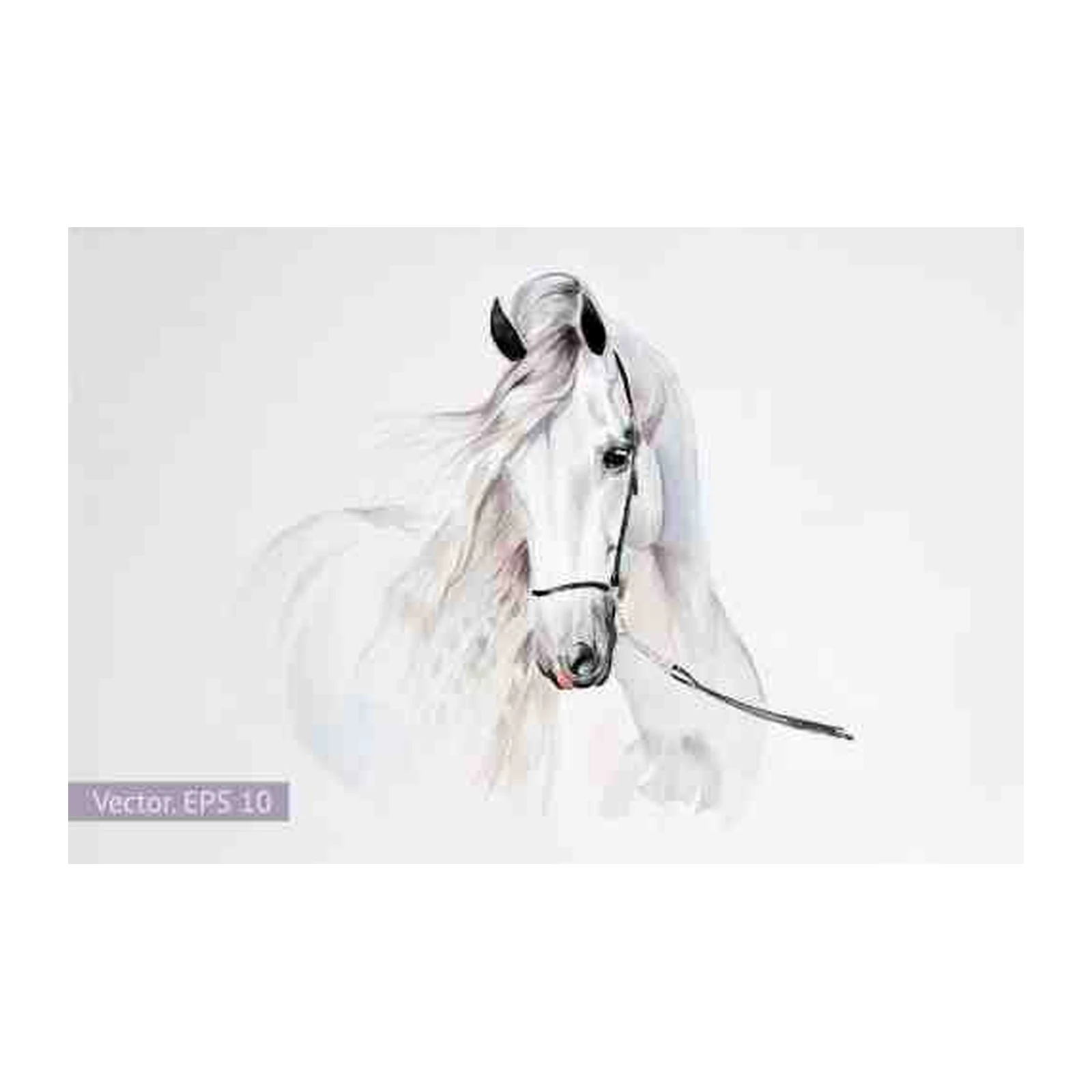 Majestic White Horse Watercolor Wall Art