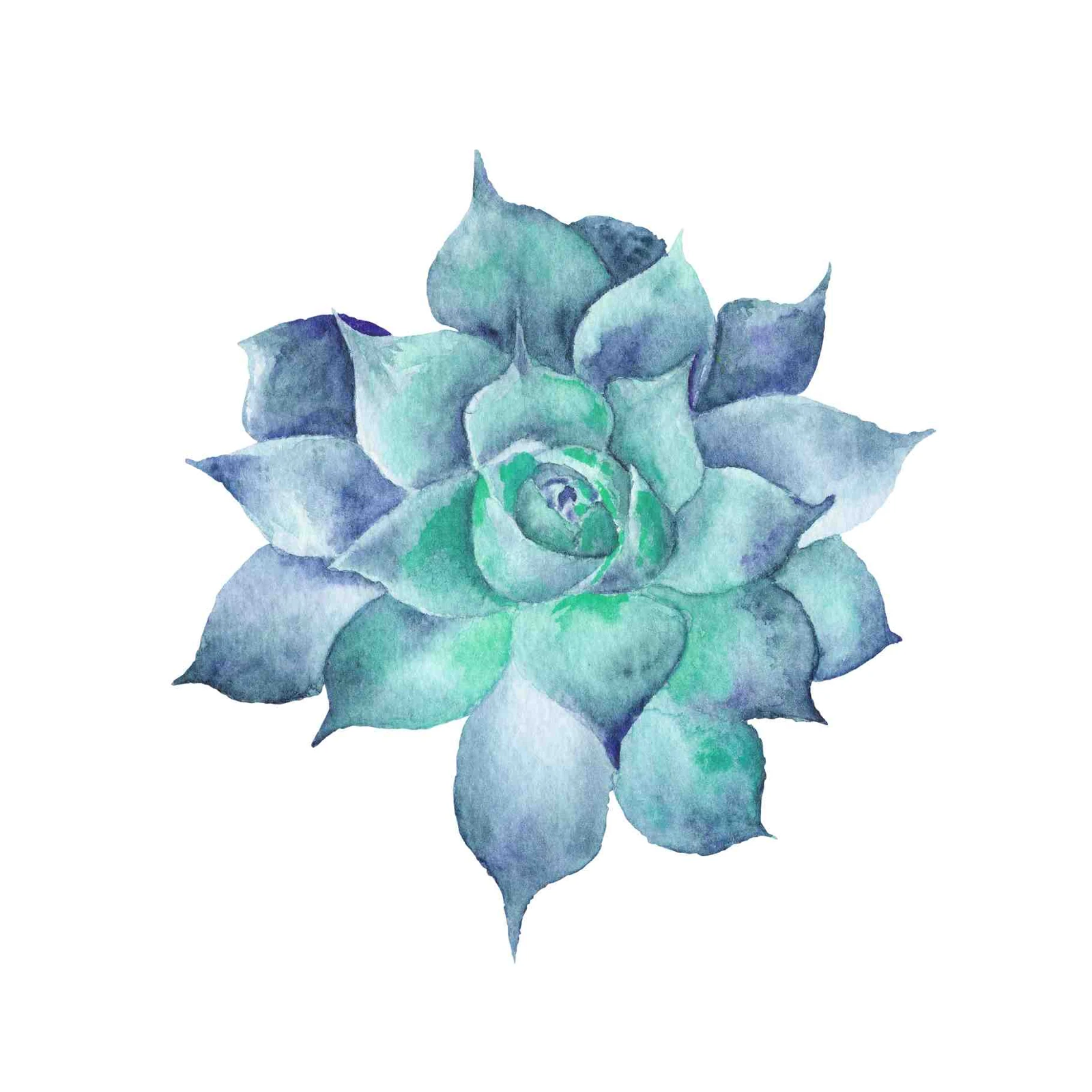 Serene Blue Succulent Watercolor Wall Art