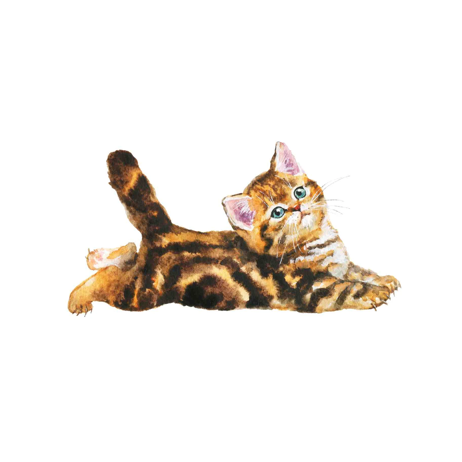 Adorable Kitten Watercolor Wall Art