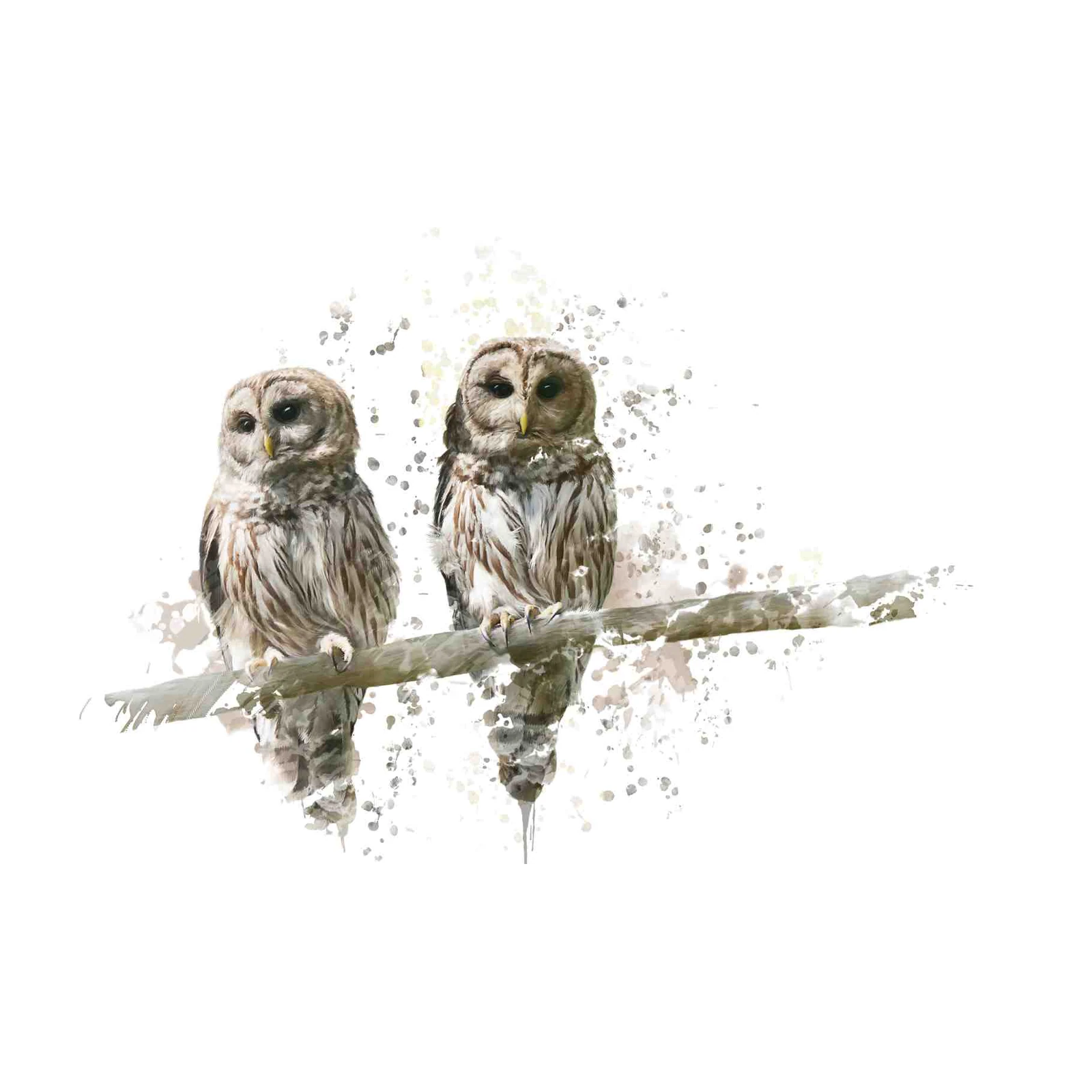 Serene Owls Watercolor Art Wall Art