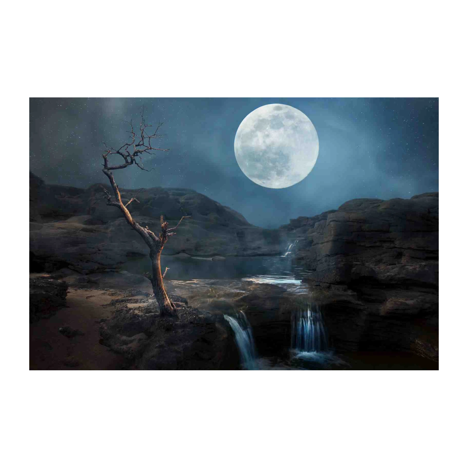Enchanting Moonlit Waterfall Dead Tree Wall Art