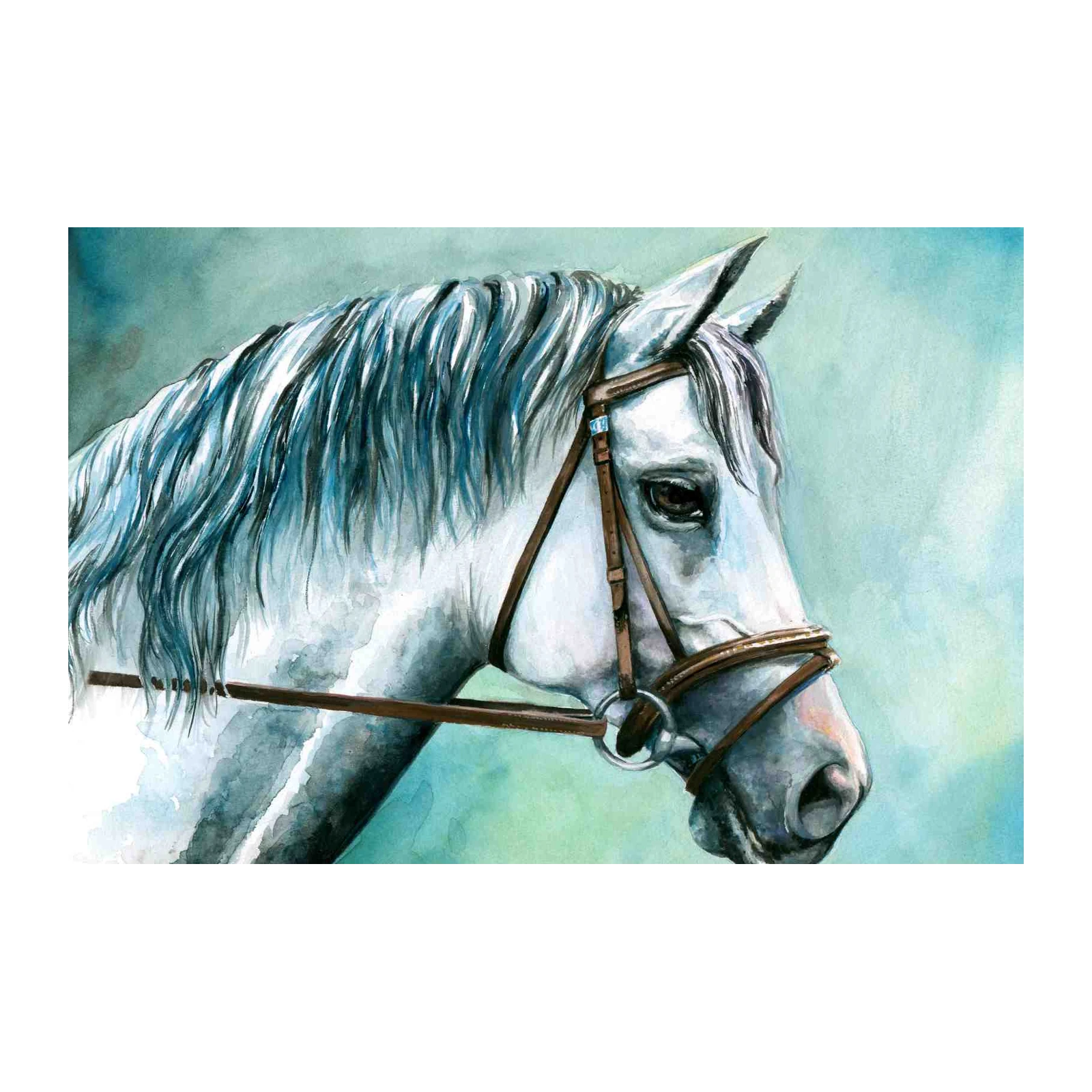 Majestic White Horse Portrait Wall Art