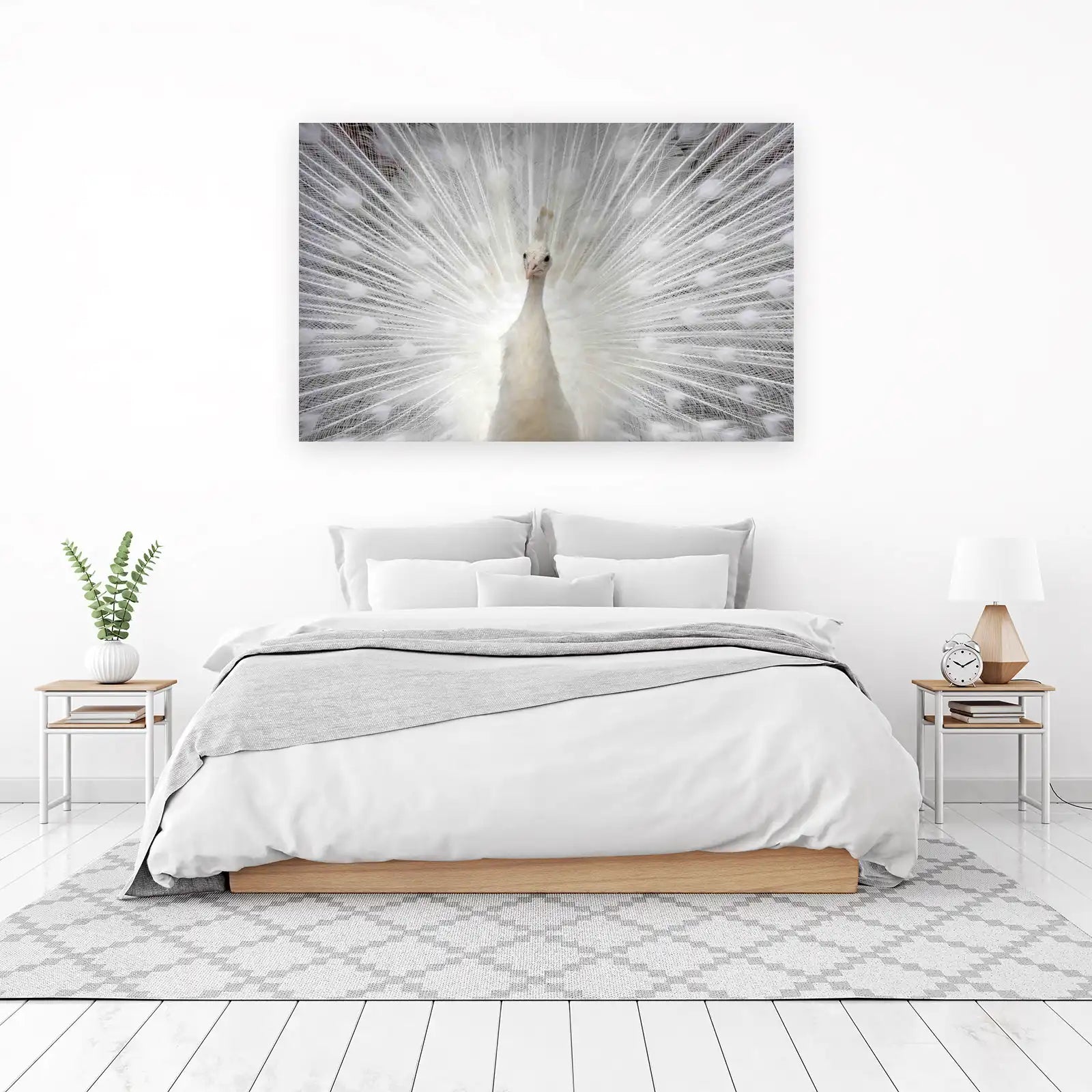 Elegant White Peacock Display Wall Art