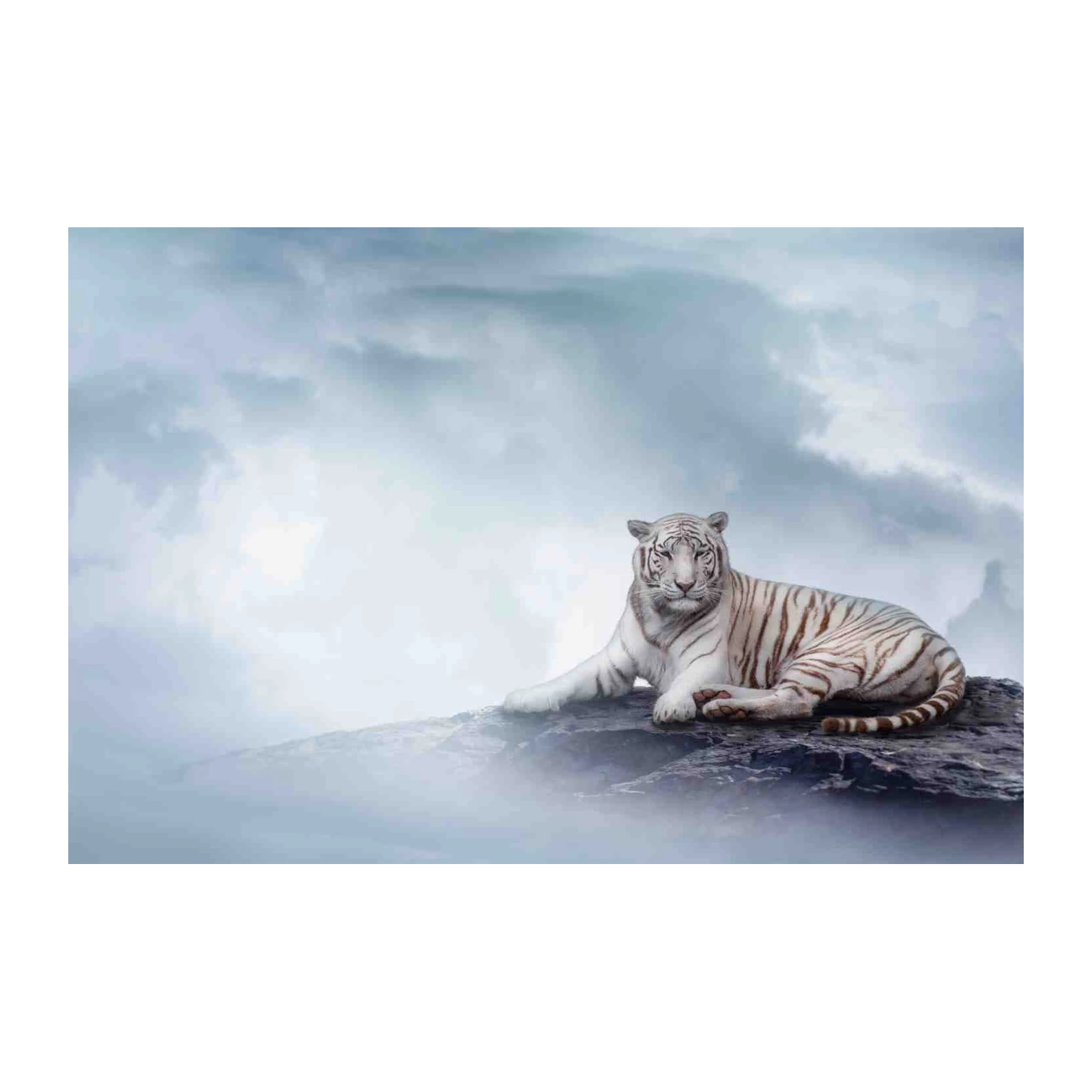 Majestic White Tiger Serenity Wall Art