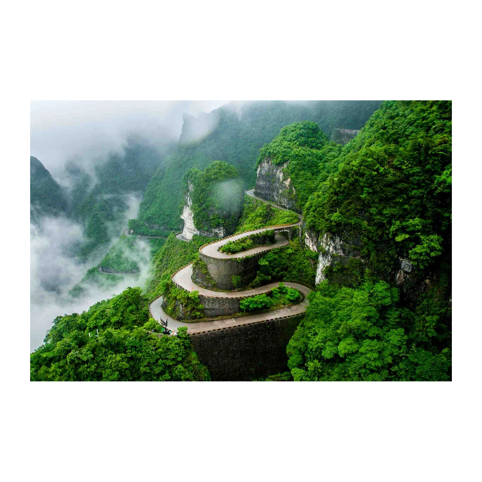 Serpentine Mountain Road Emerald Nature Wall Art