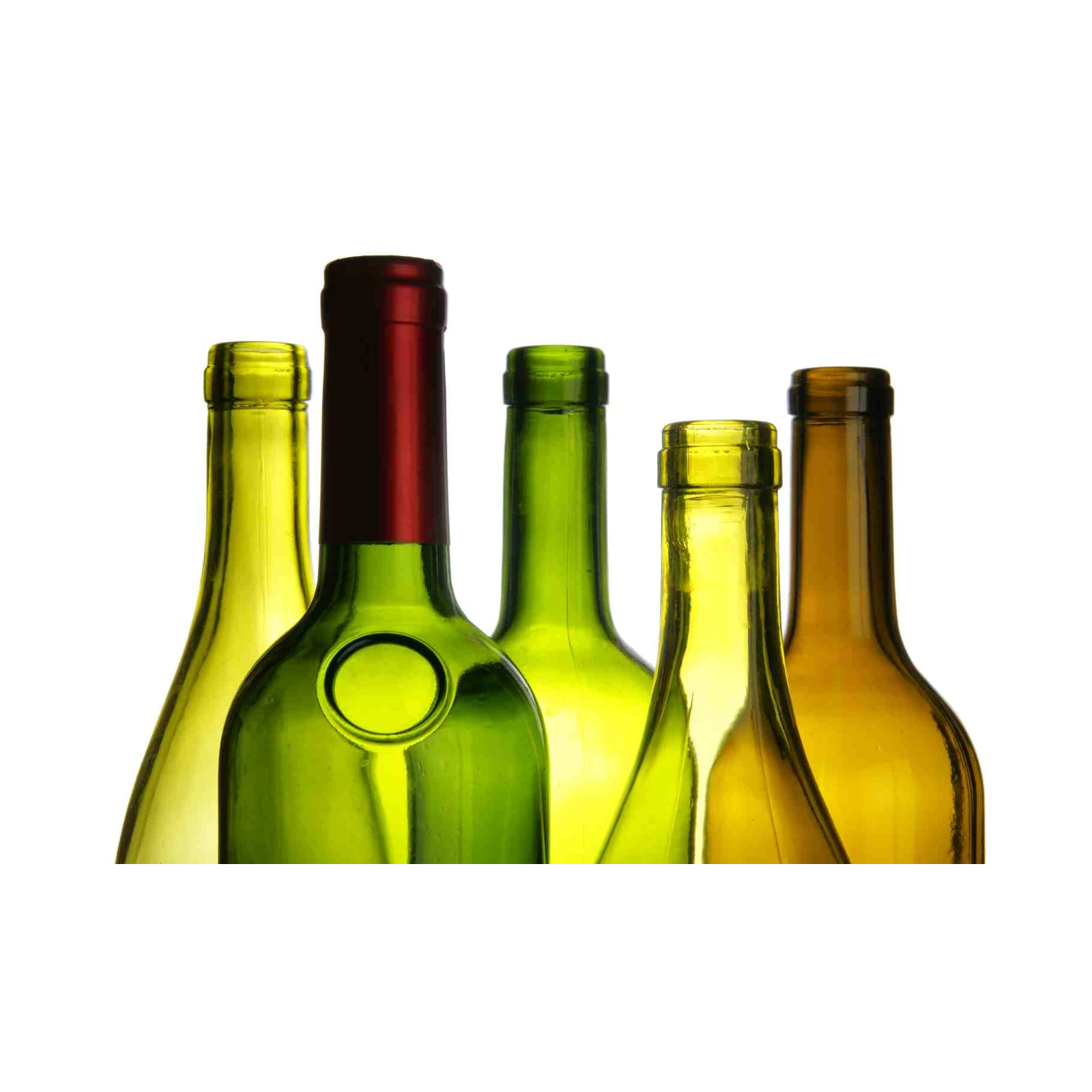 Elegant Wine Bottles Wall Art