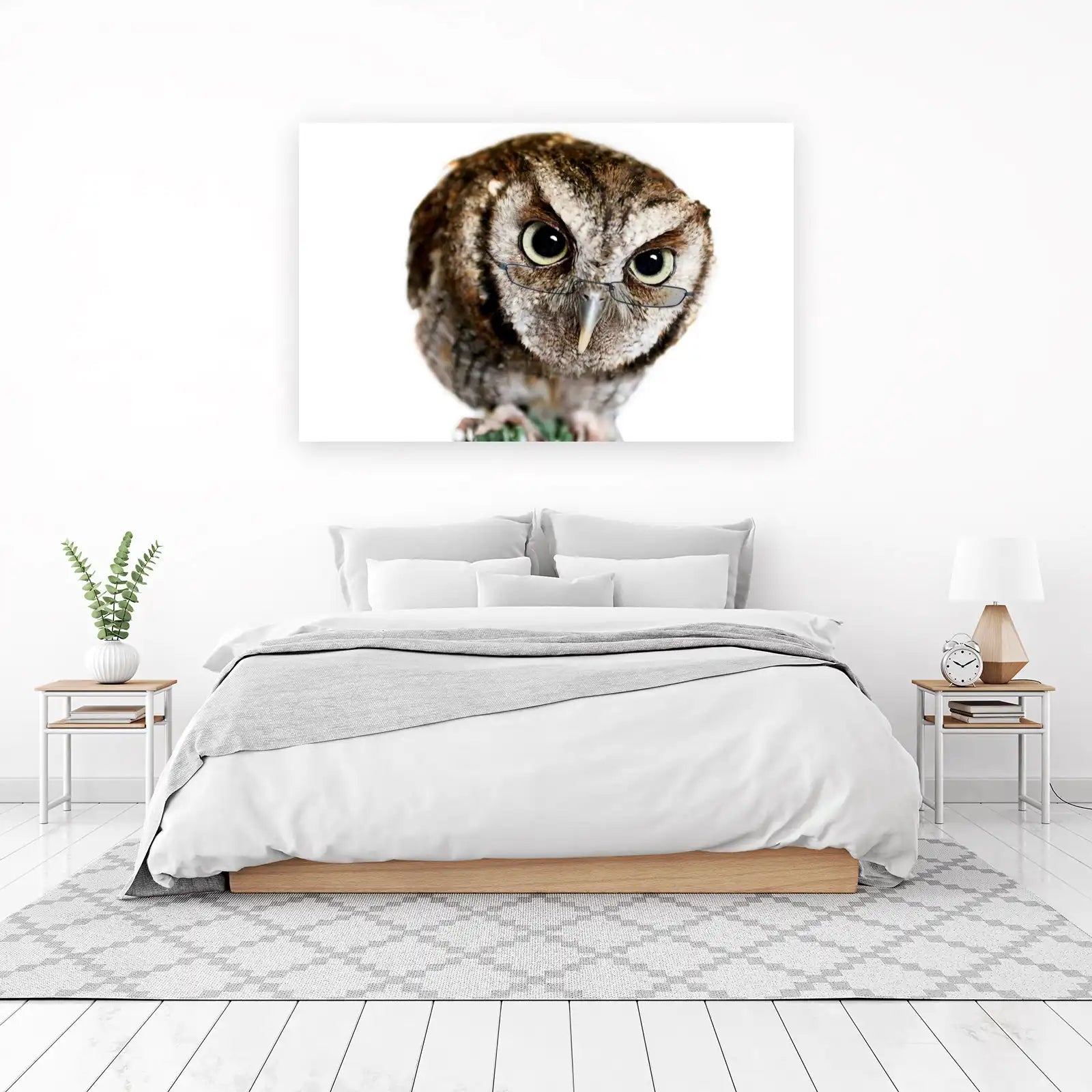 Wise Owl with Glasses Wall Art