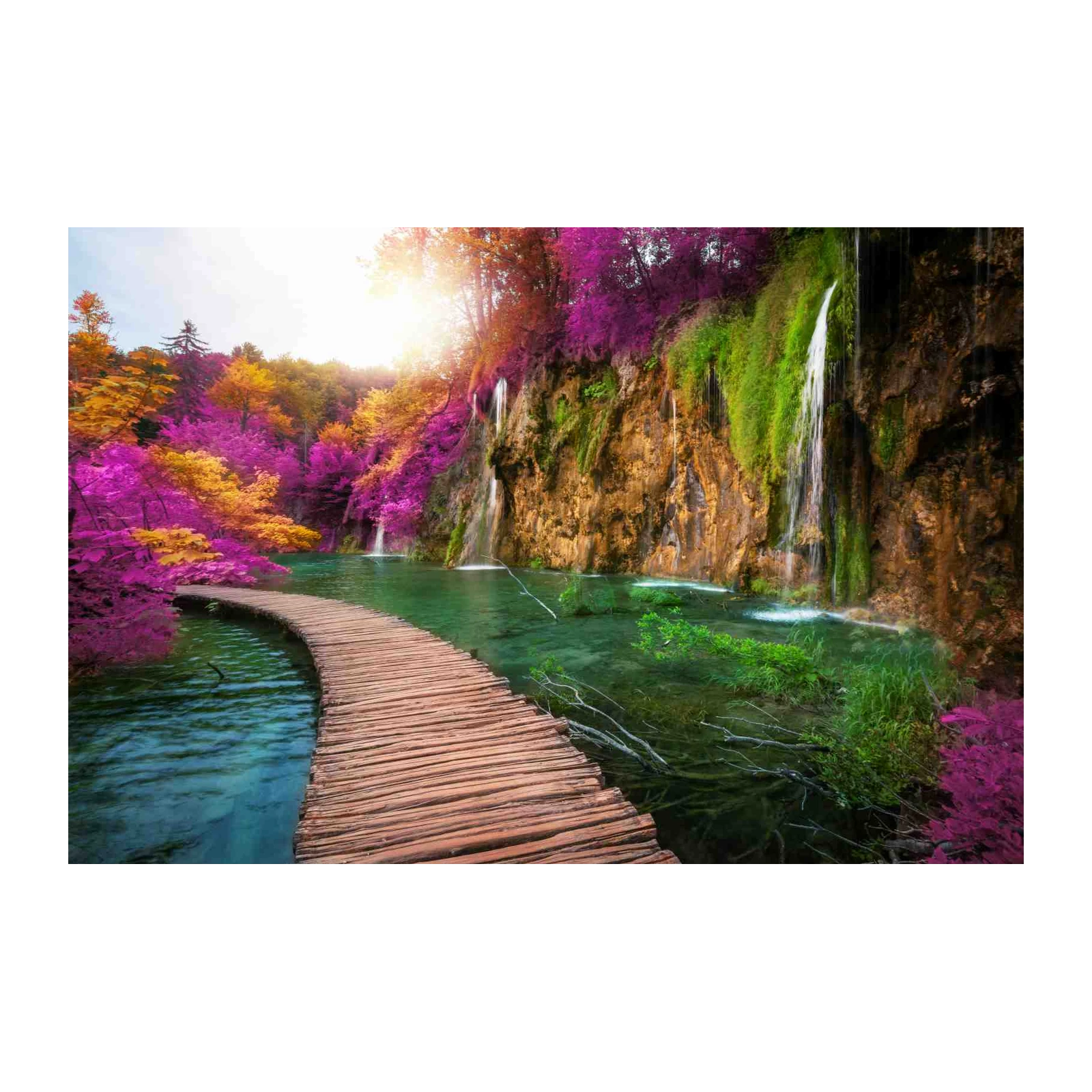 Magical Waterfall & Forest Path Wall Art