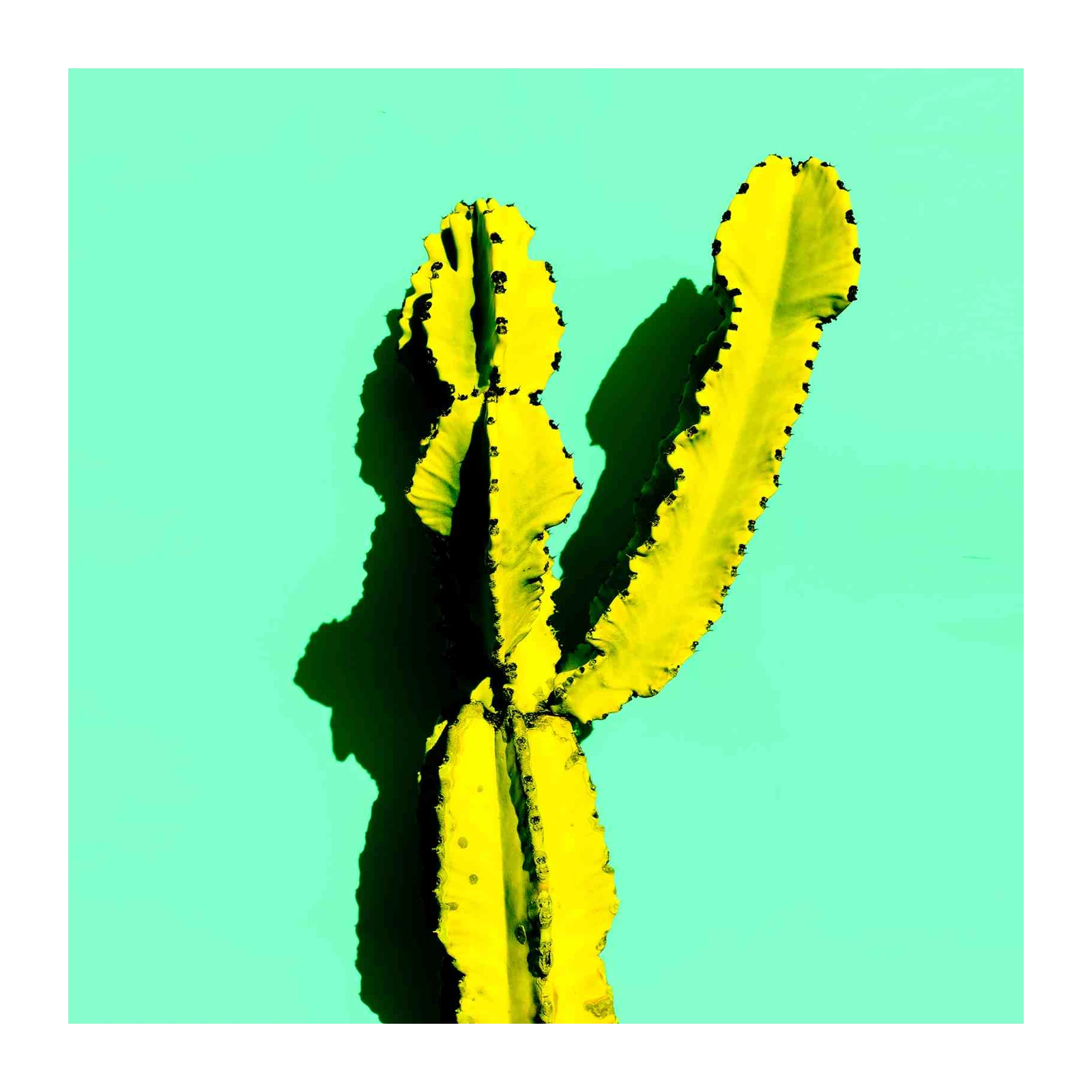 Vibrant Yellow Cactus Wall Art