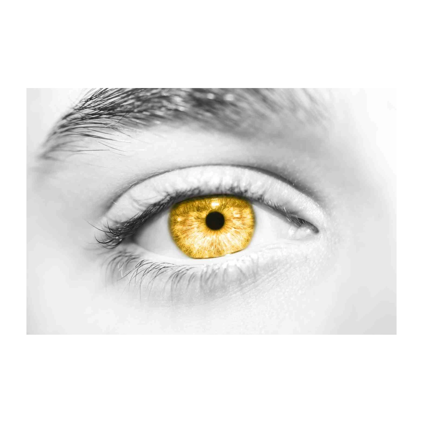 Golden Eye Close-Up Abstract Wall Art