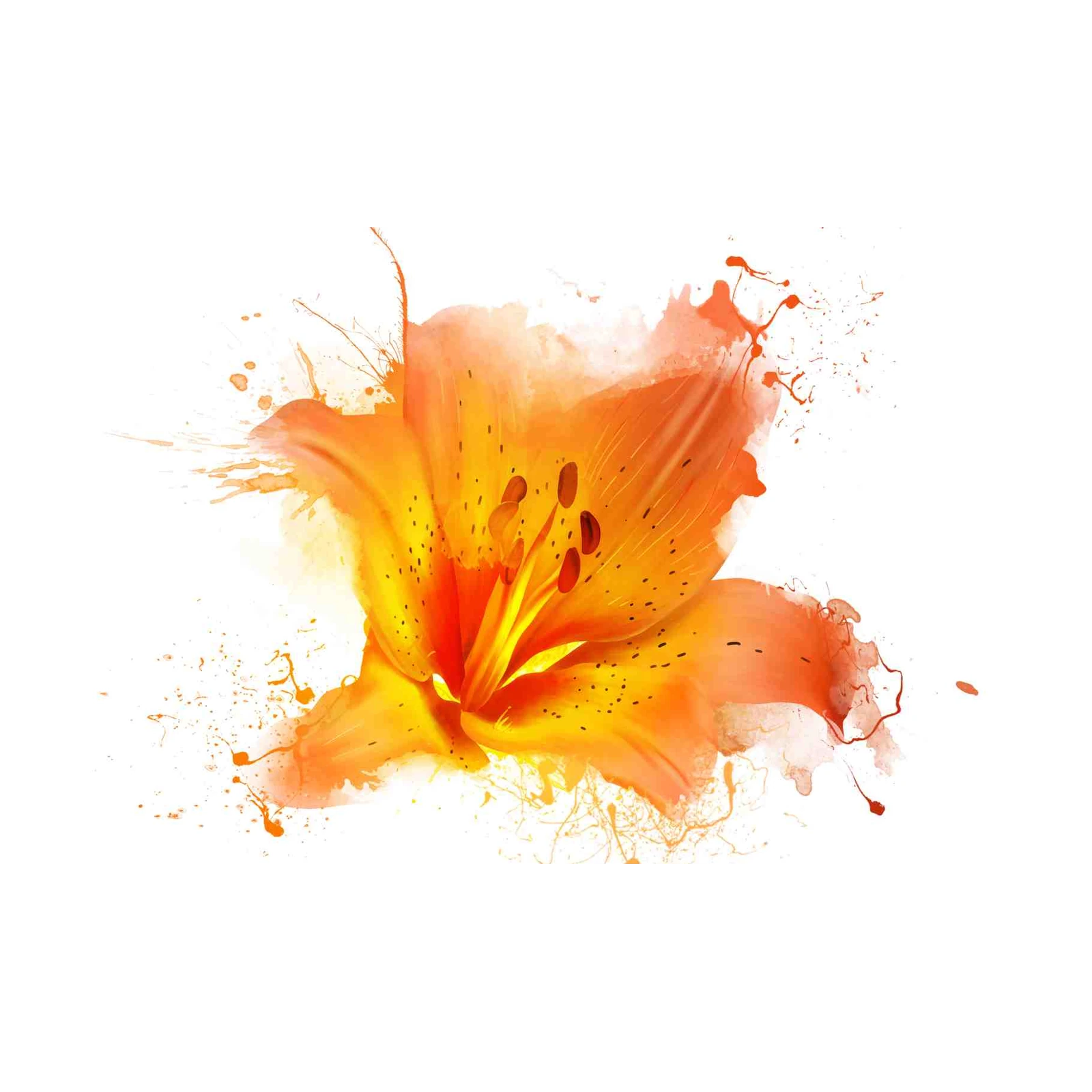 Vibrant Orange Lily Splash Wall Art