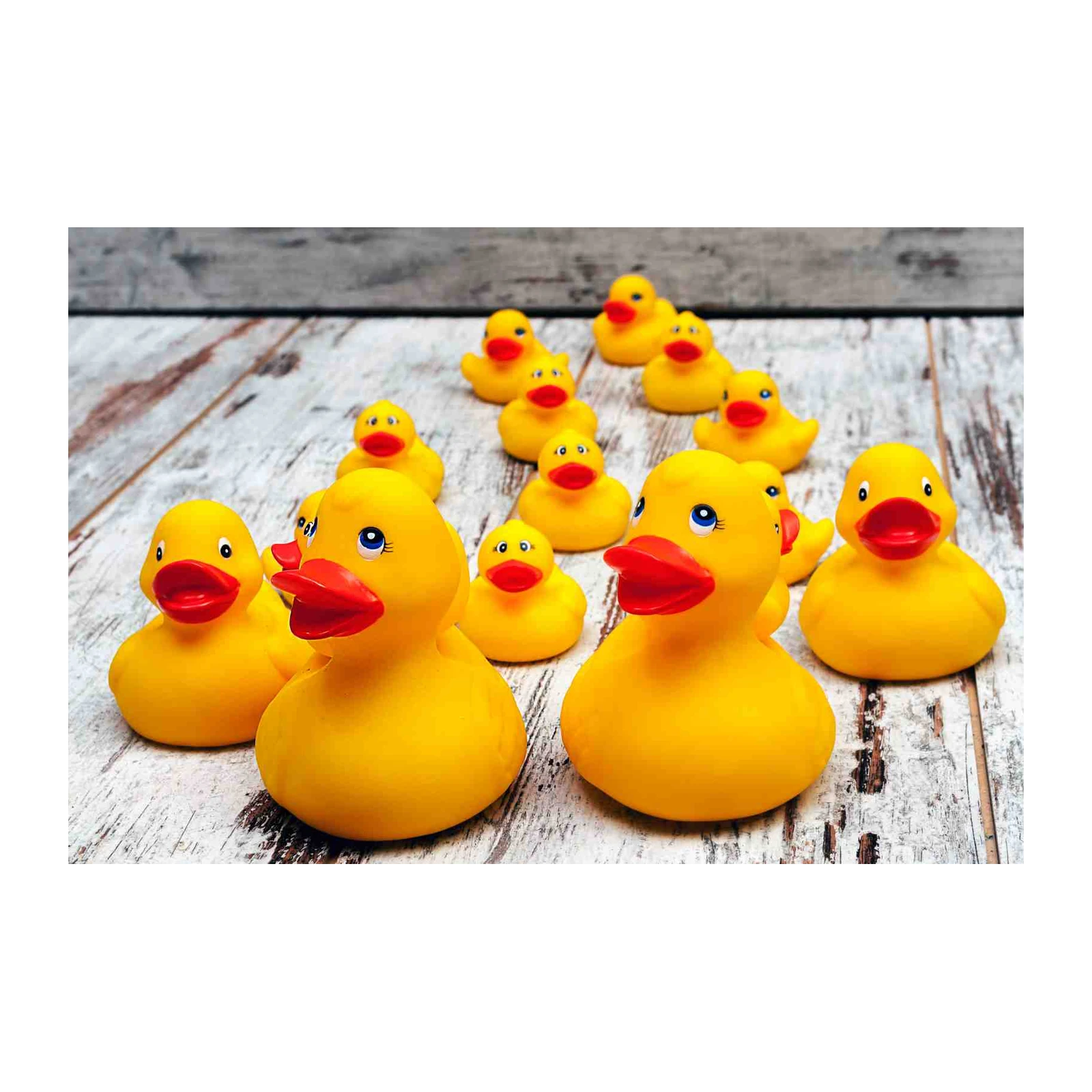 Playful Rubber Ducklings Yellow Wall Art