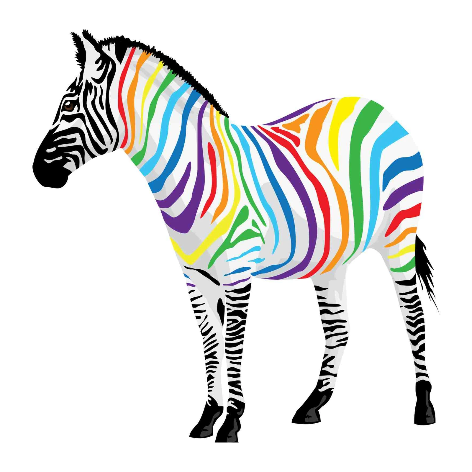 Vibrant Rainbow Zebra Wall Art Wall Art