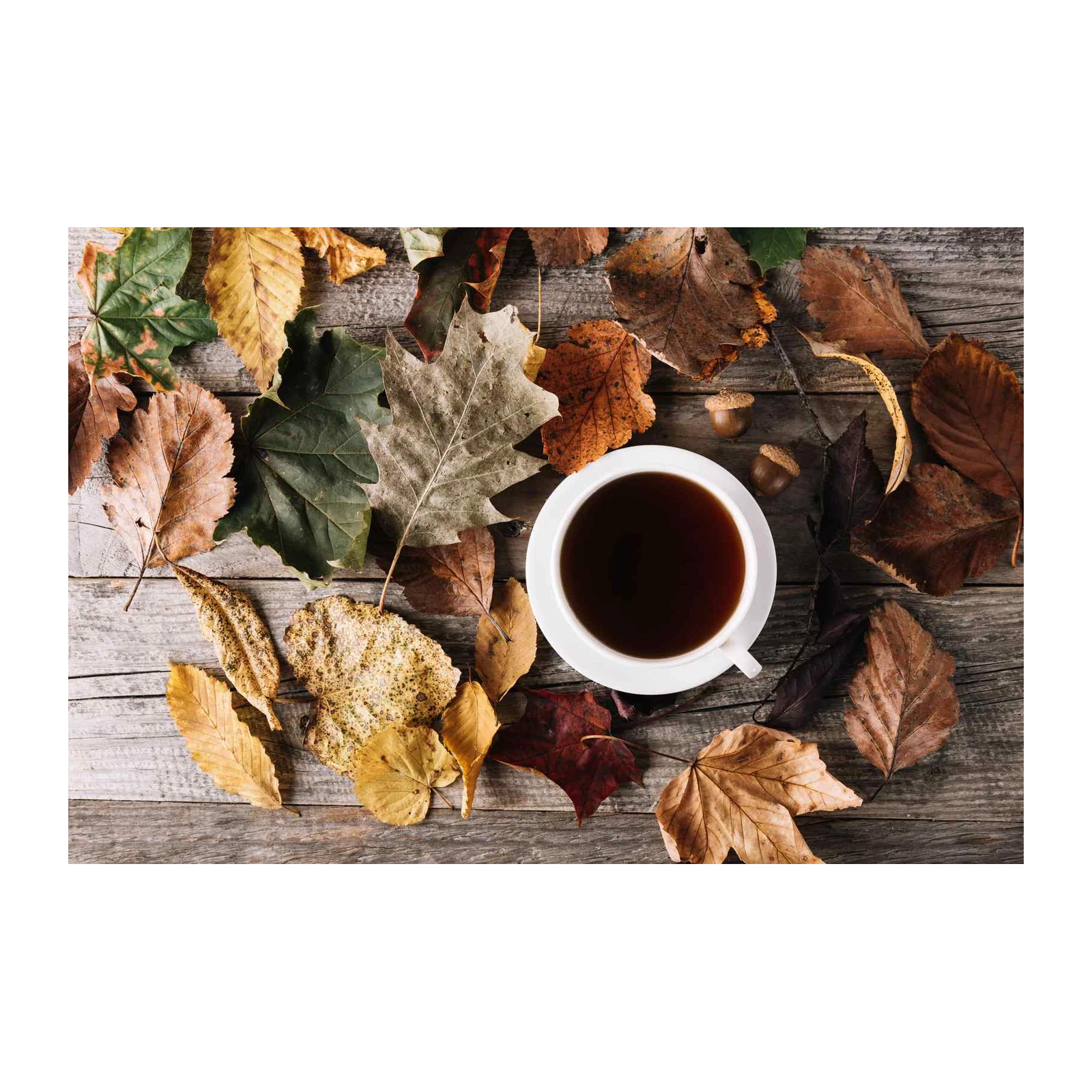 Autumn Coffee Cozy Leaves Wall Art