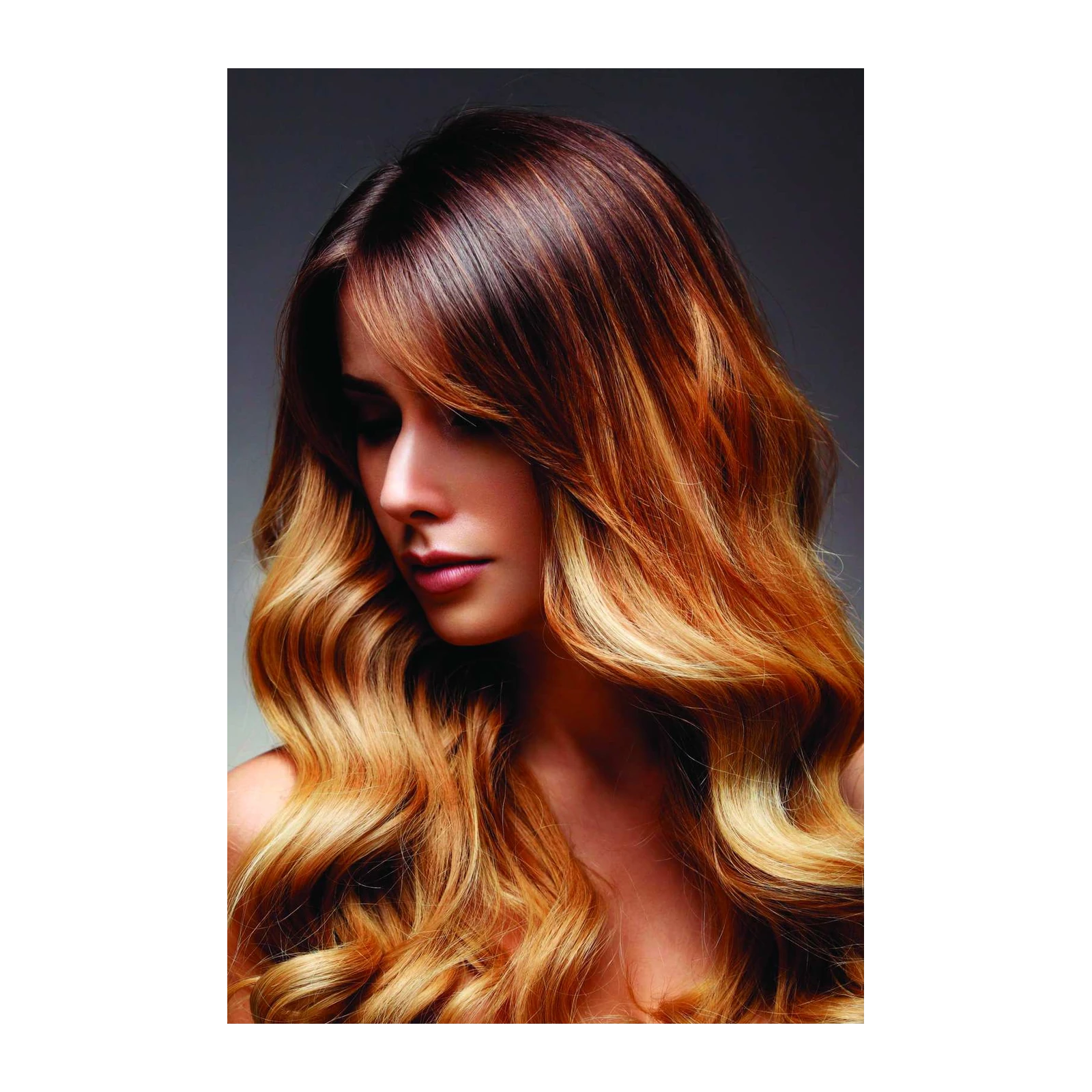 Ombre Hair Beauty Fashion Wall Art