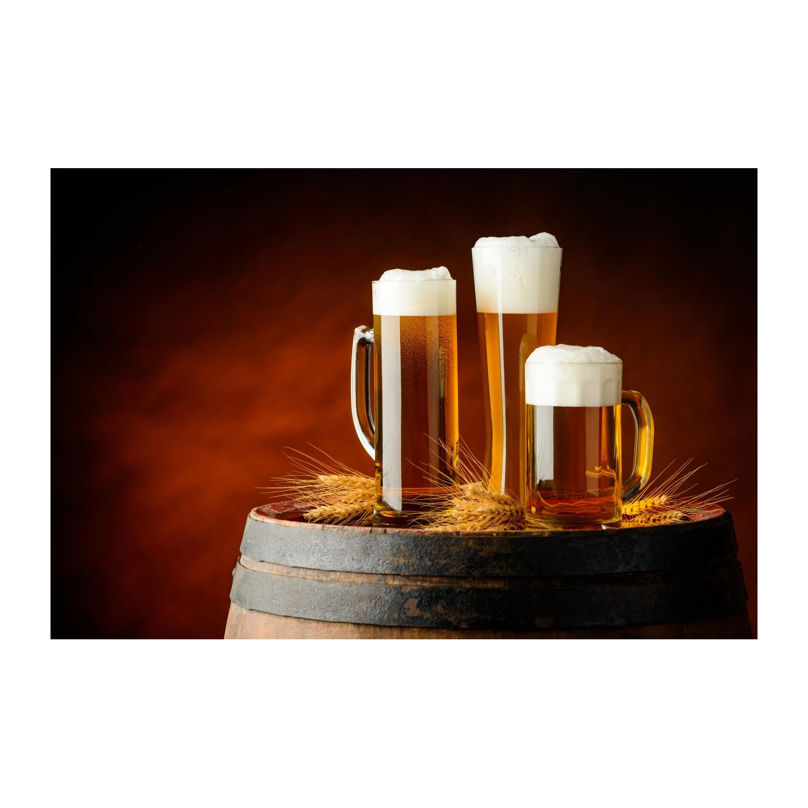 Craft Beer & Barley Art Wall Art