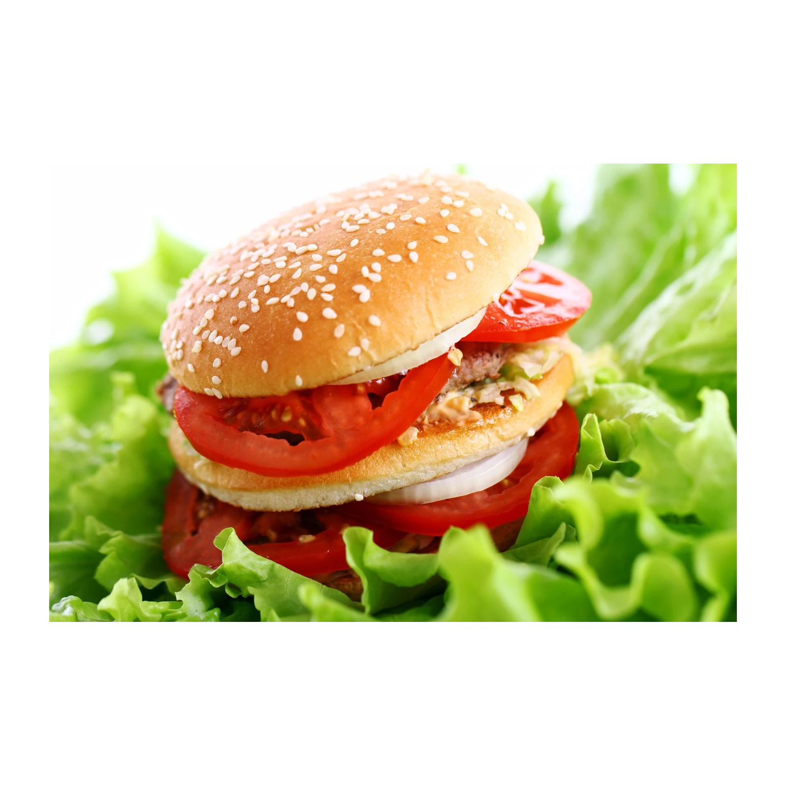 Juicy Burger Food Photography Wall Art