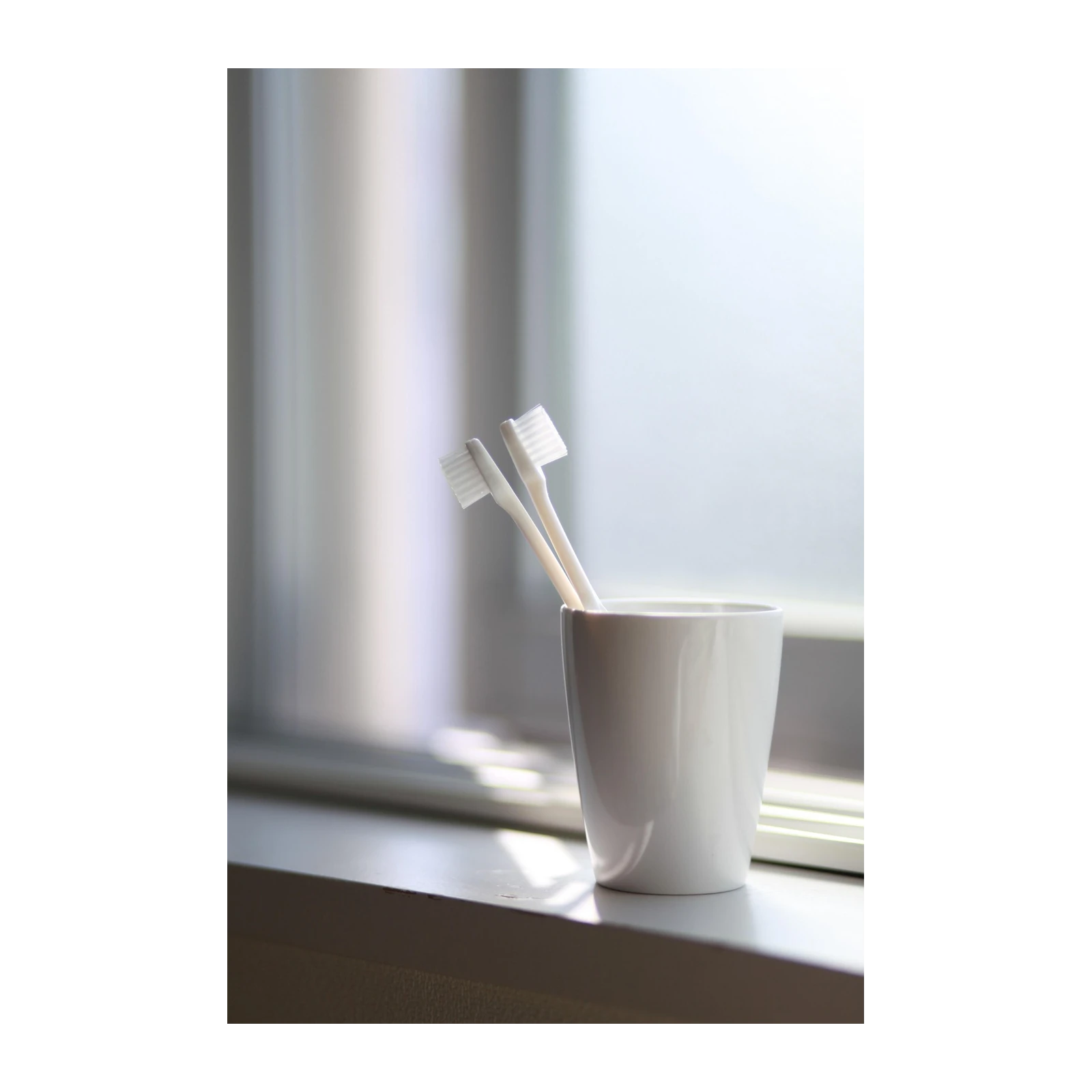 Minimalist Morning Duo Toothbrushes Wall Art