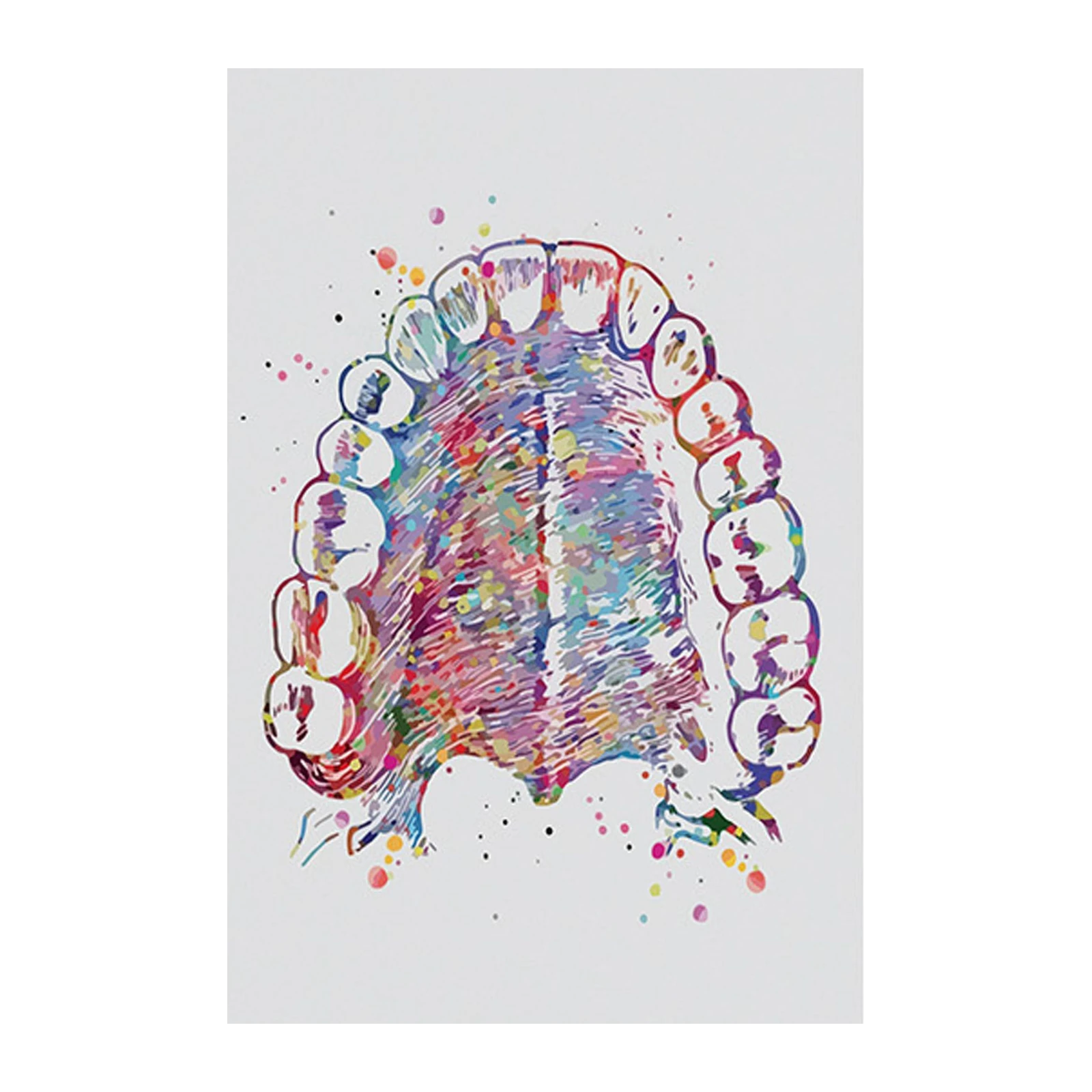 Colorful Dental Anatomy Watercolor Wall Art