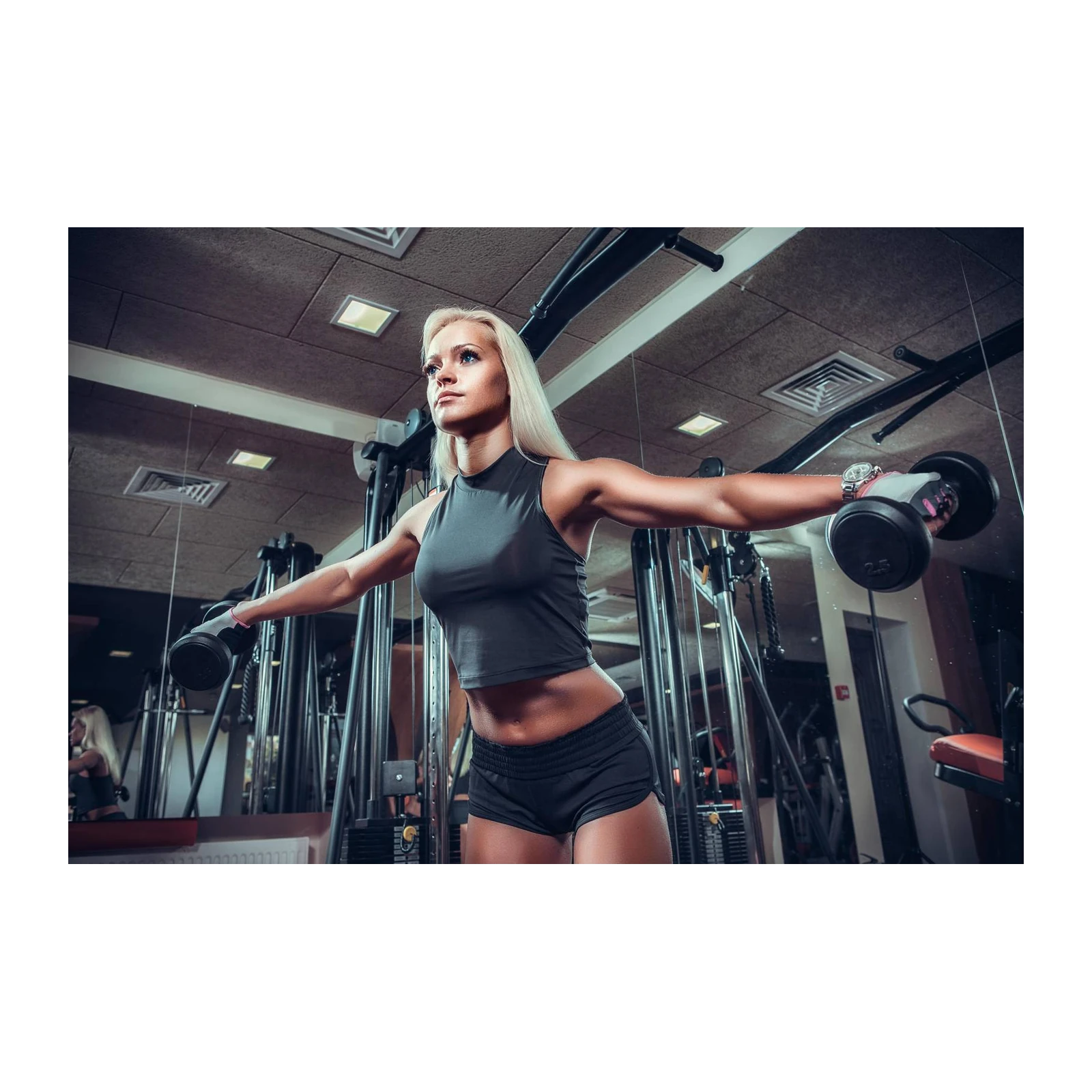 Fit Woman Dumbbell Workout Wall Art