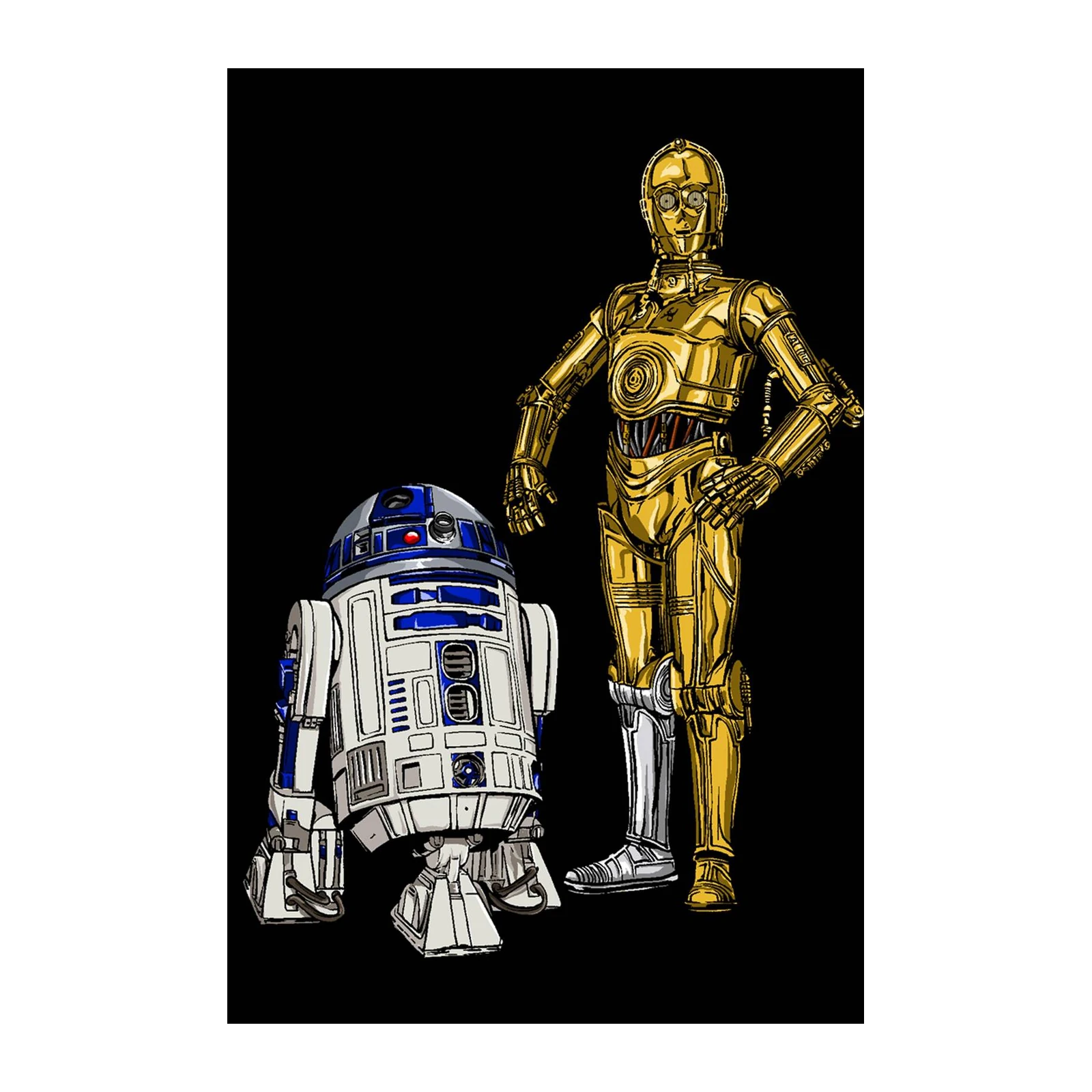 Iconic Droids Duo Star Wars Wall Art